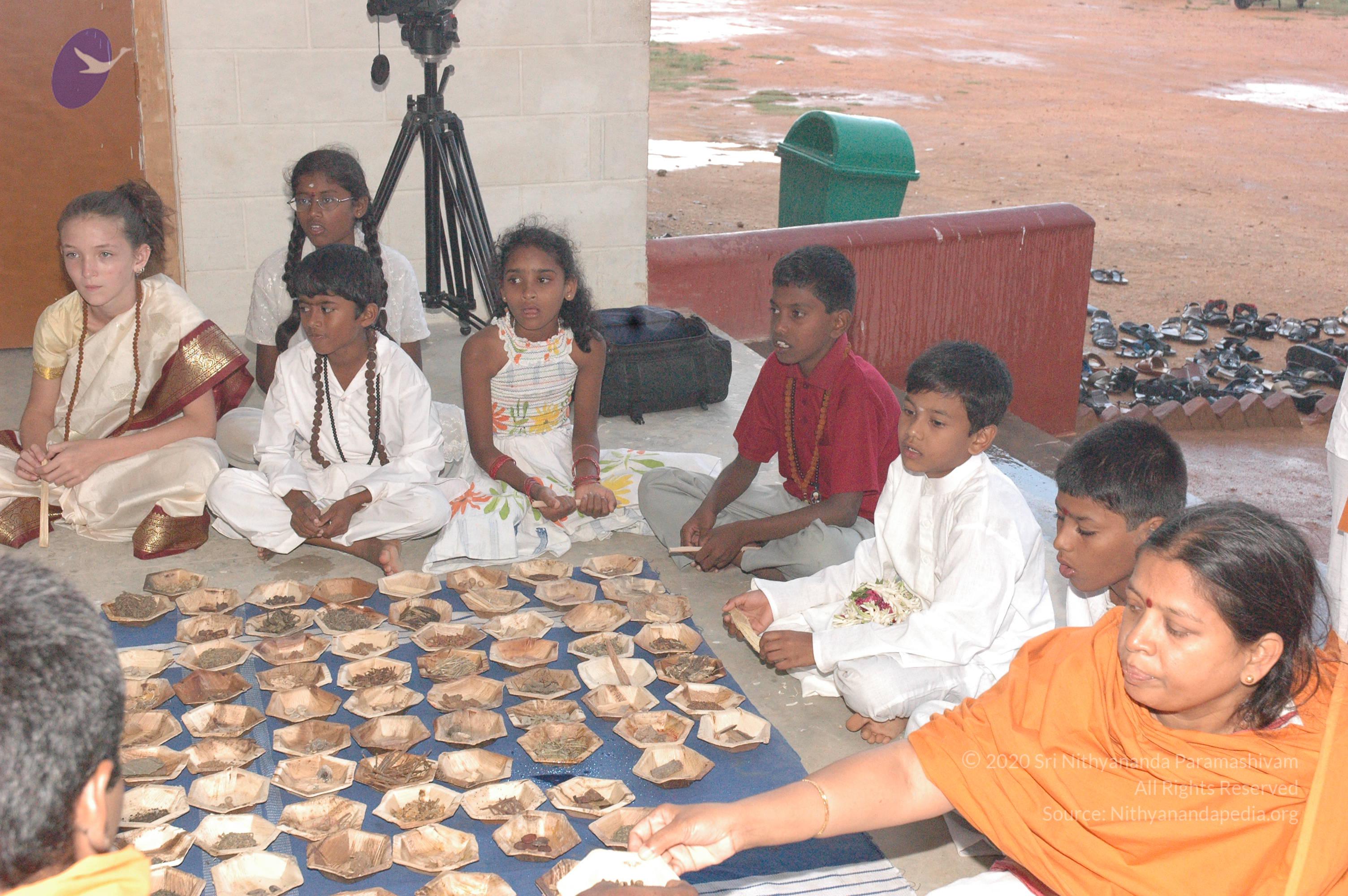 20061002_Photo_1067_DSC_7126_CMP_WM