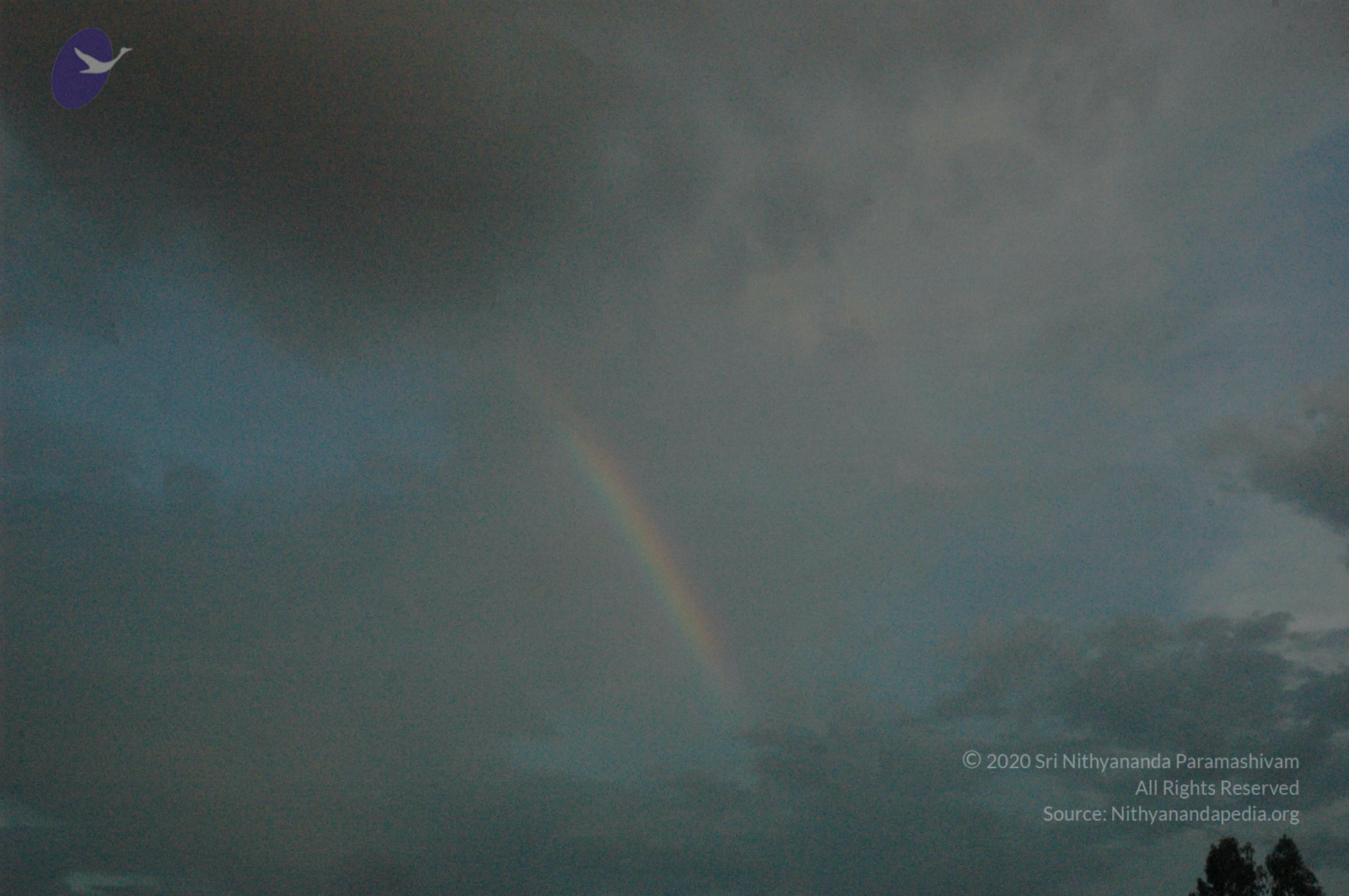 20061002_Photo_1092_DSC_7234_CMP_WM