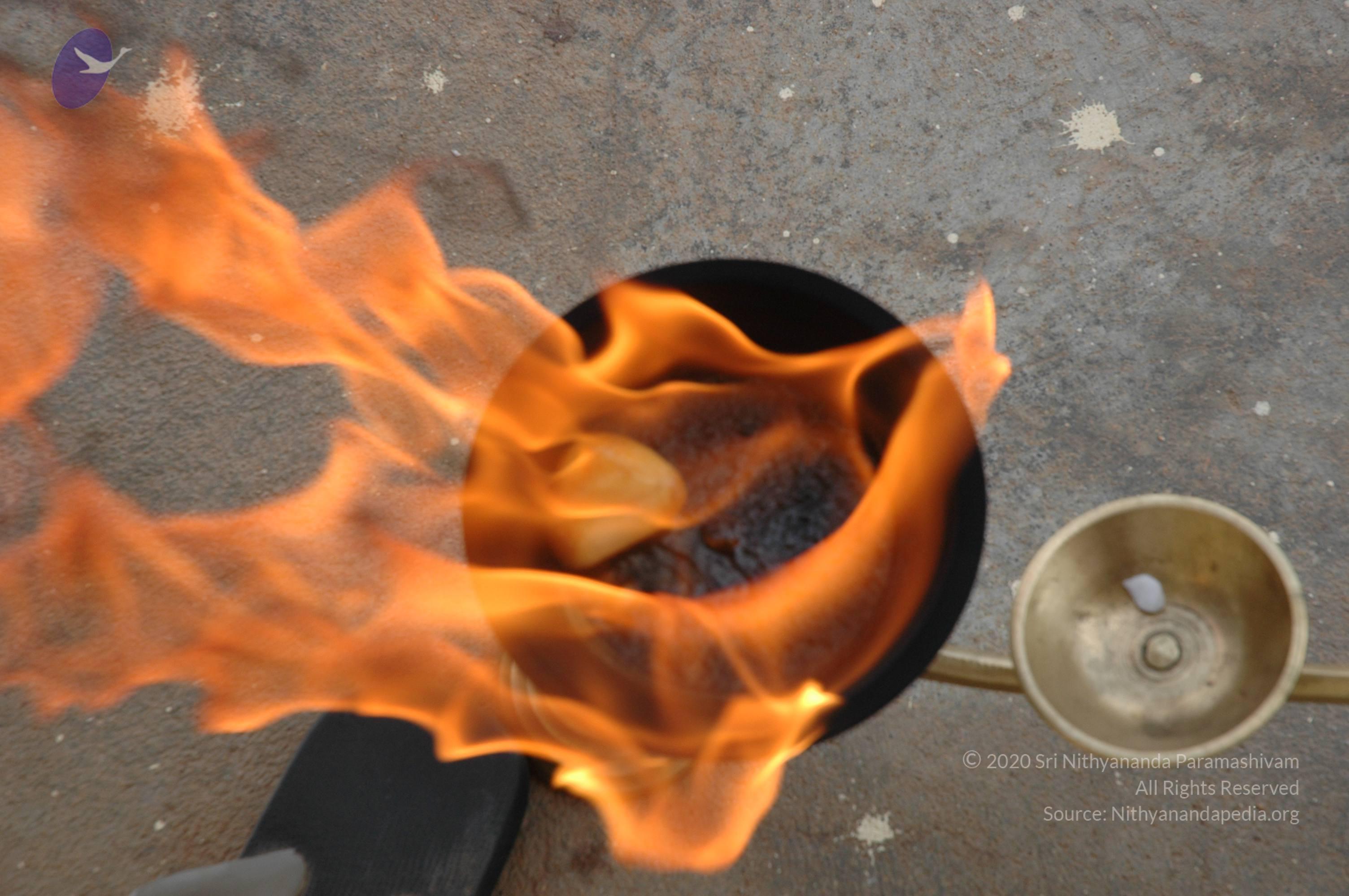 20061019_Photo_1000_DSC_6485_CMP_WM