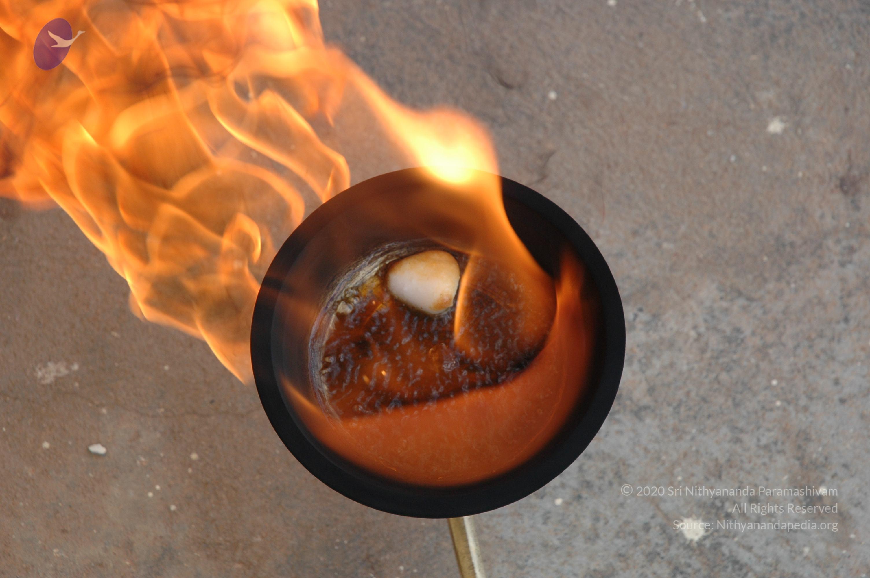 20061019_Photo_1001_DSC_6494_CMP_WM