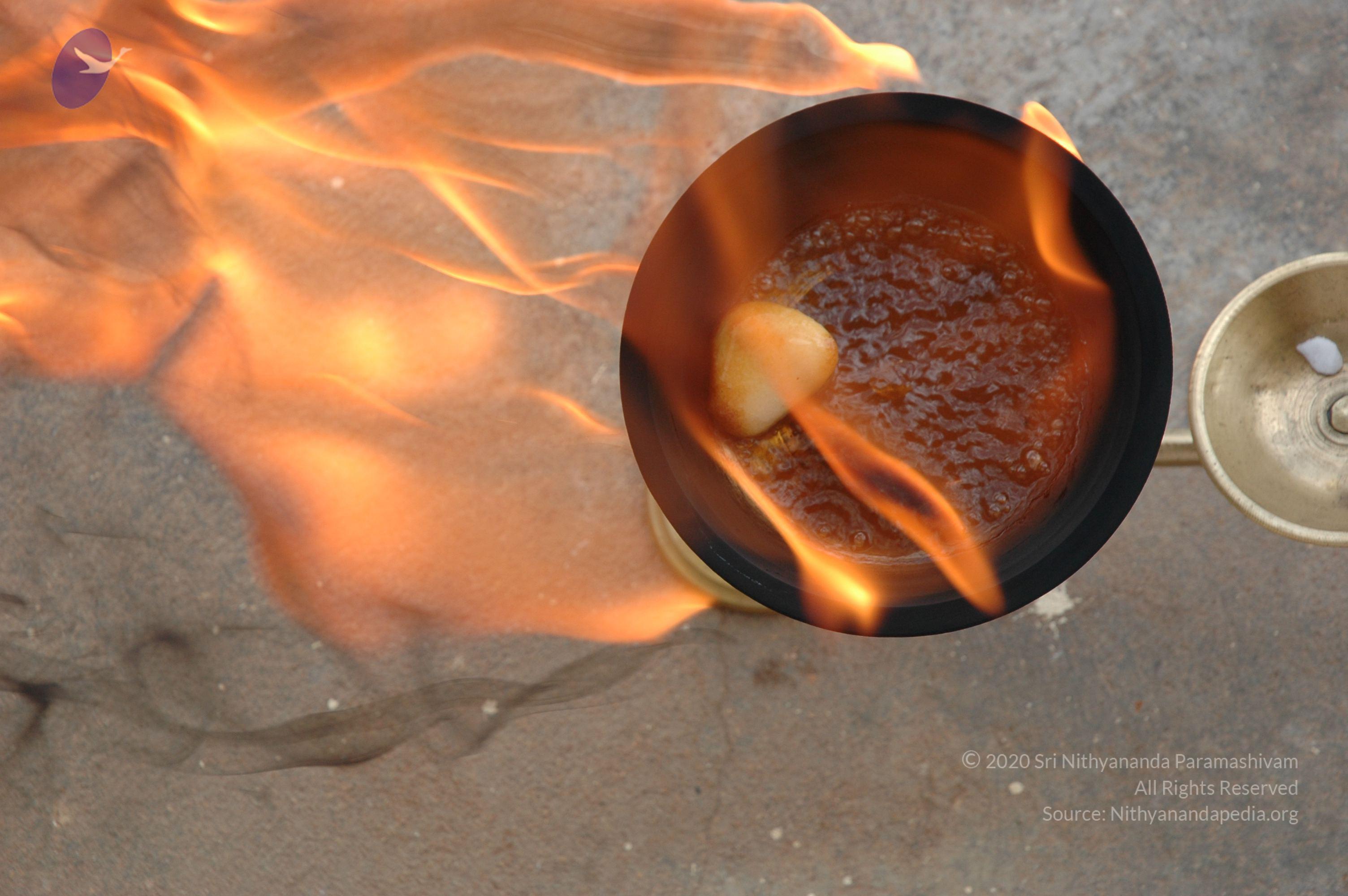 20061019_Photo_1002_DSC_6488_CMP_WM