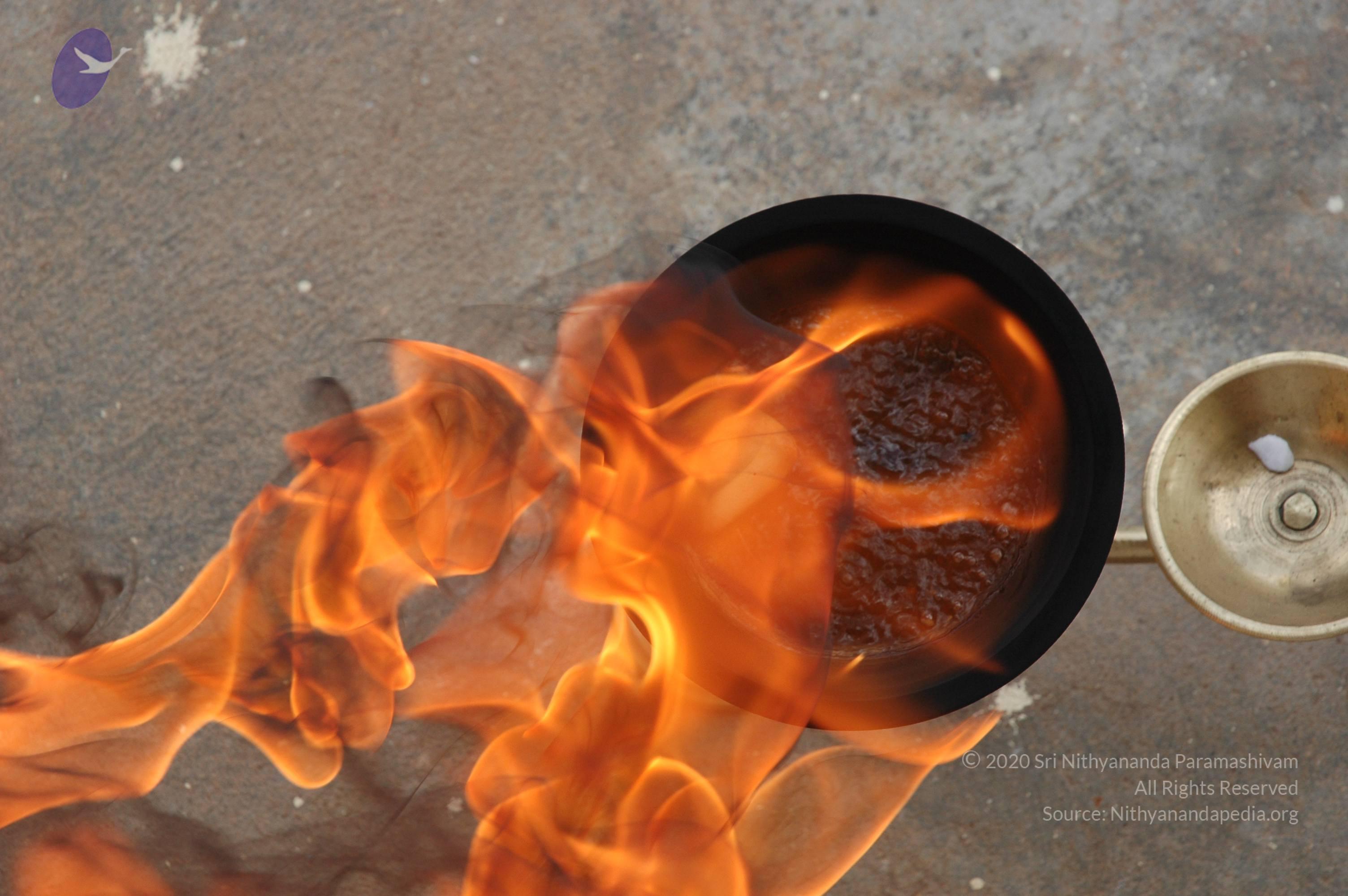 20061019_Photo_1004_DSC_6487_CMP_WM