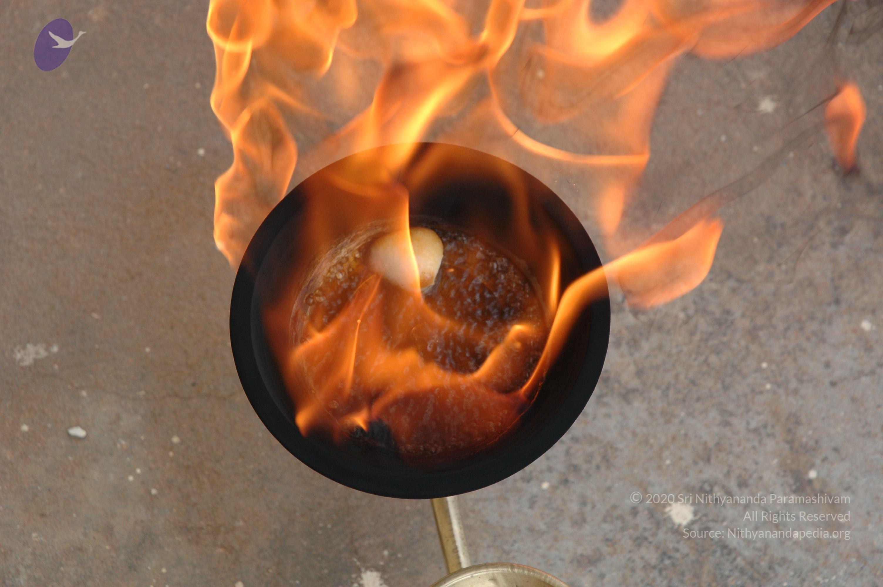 20061019_Photo_1005_DSC_6493_CMP_WM