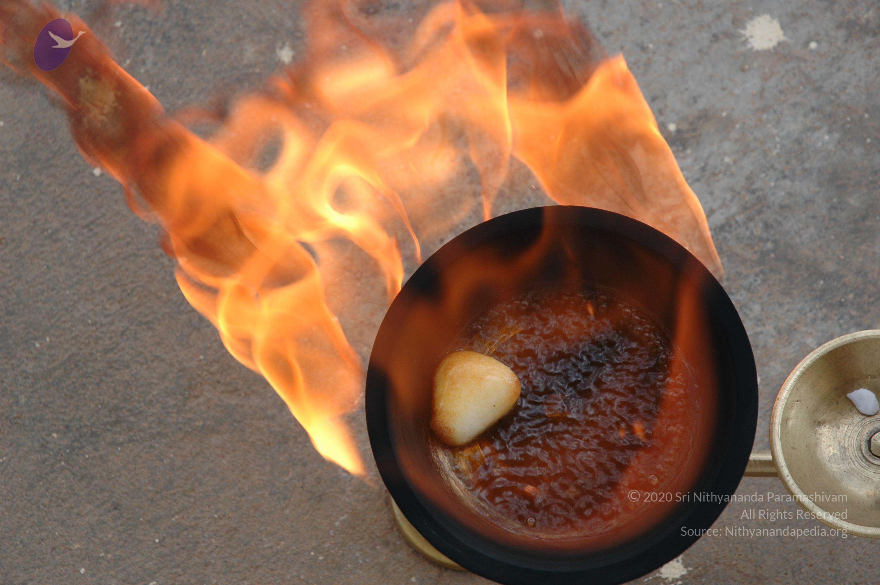 20061019_Photo_1006_DSC_6490_CMP_WM