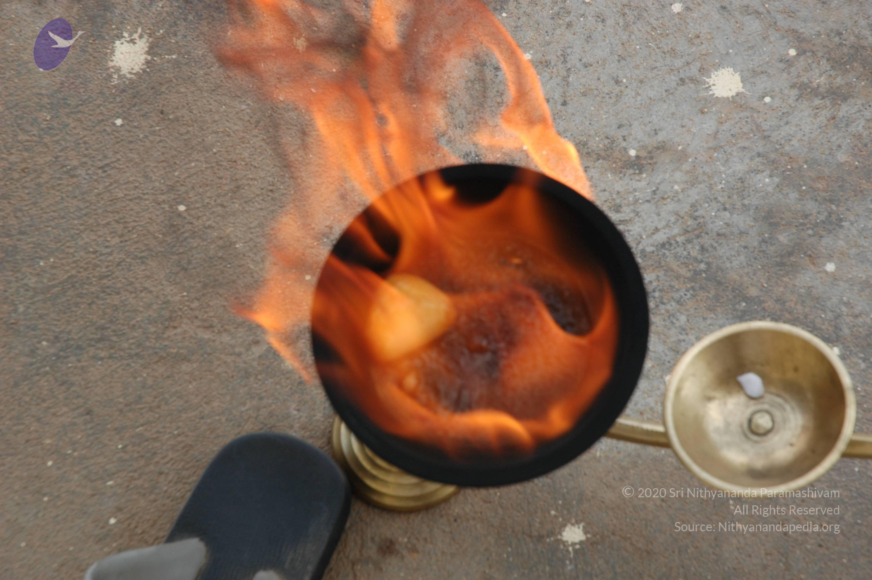 20061019_Photo_1007_DSC_6484_CMP_WM