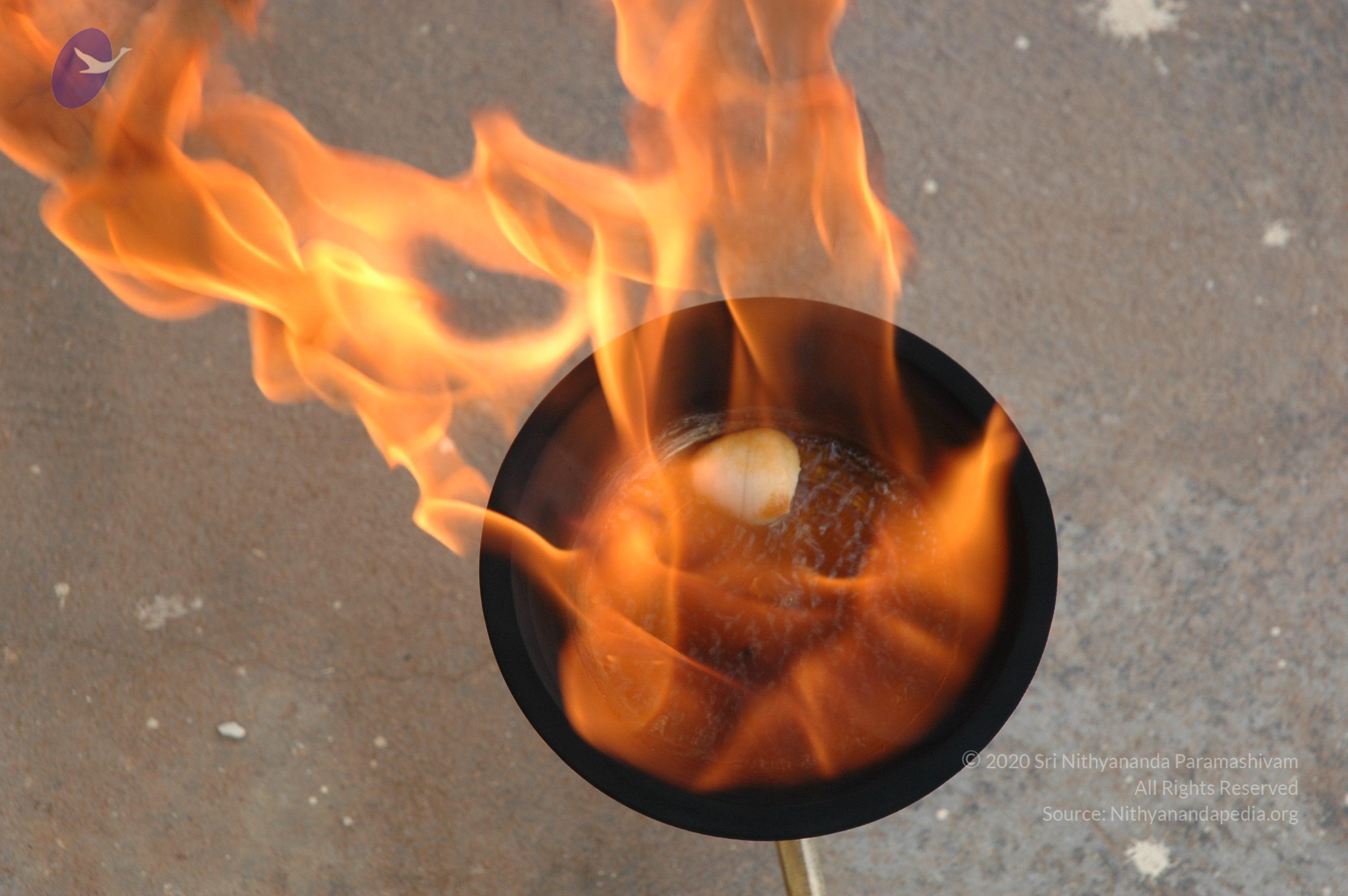 20061019_Photo_1008_DSC_6495_CMP_WM