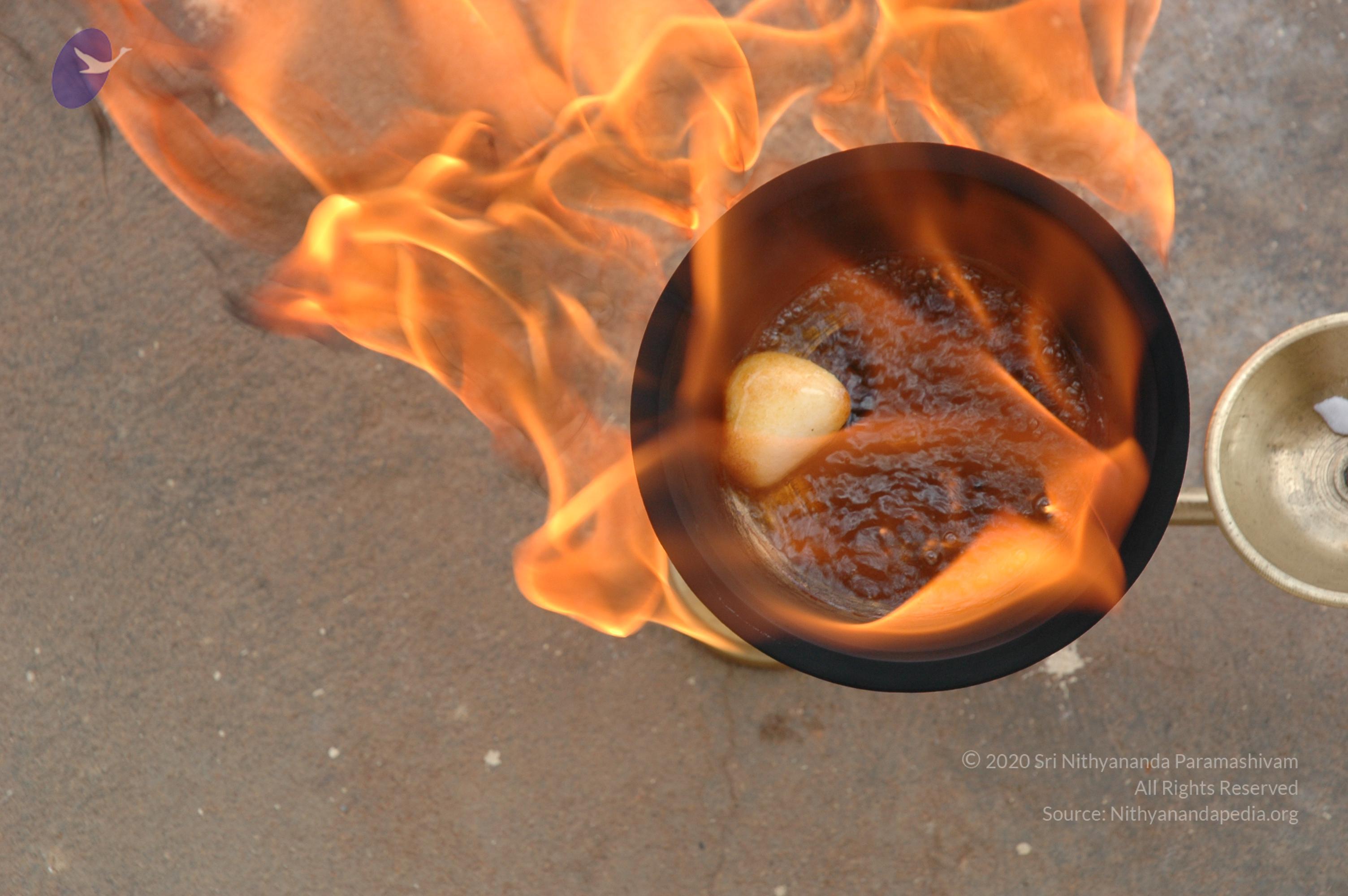 20061019_Photo_1009_DSC_6489_CMP_WM