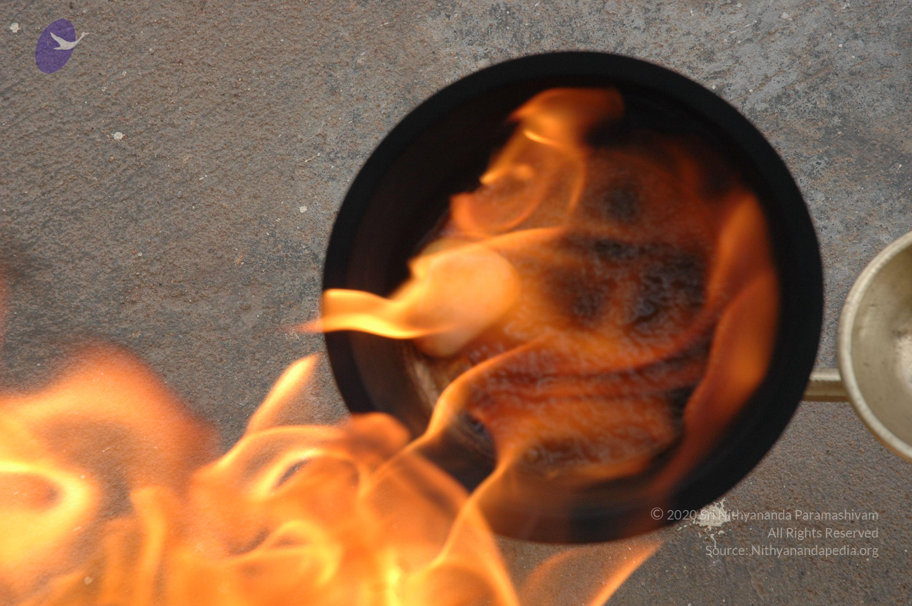 20061019_Photo_1010_DSC_6492_CMP_WM