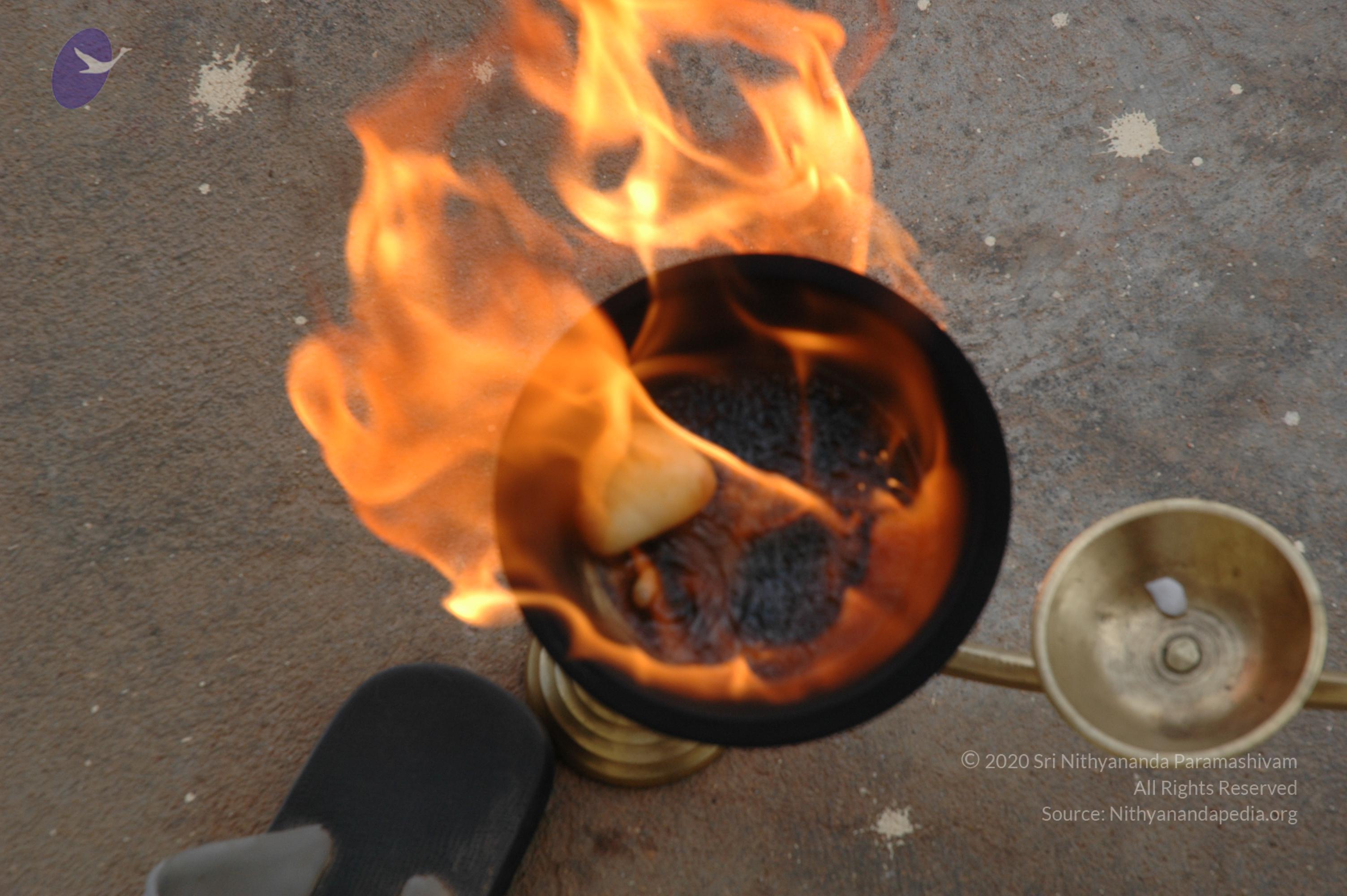 20061019_Photo_1011_DSC_6483_CMP_WM