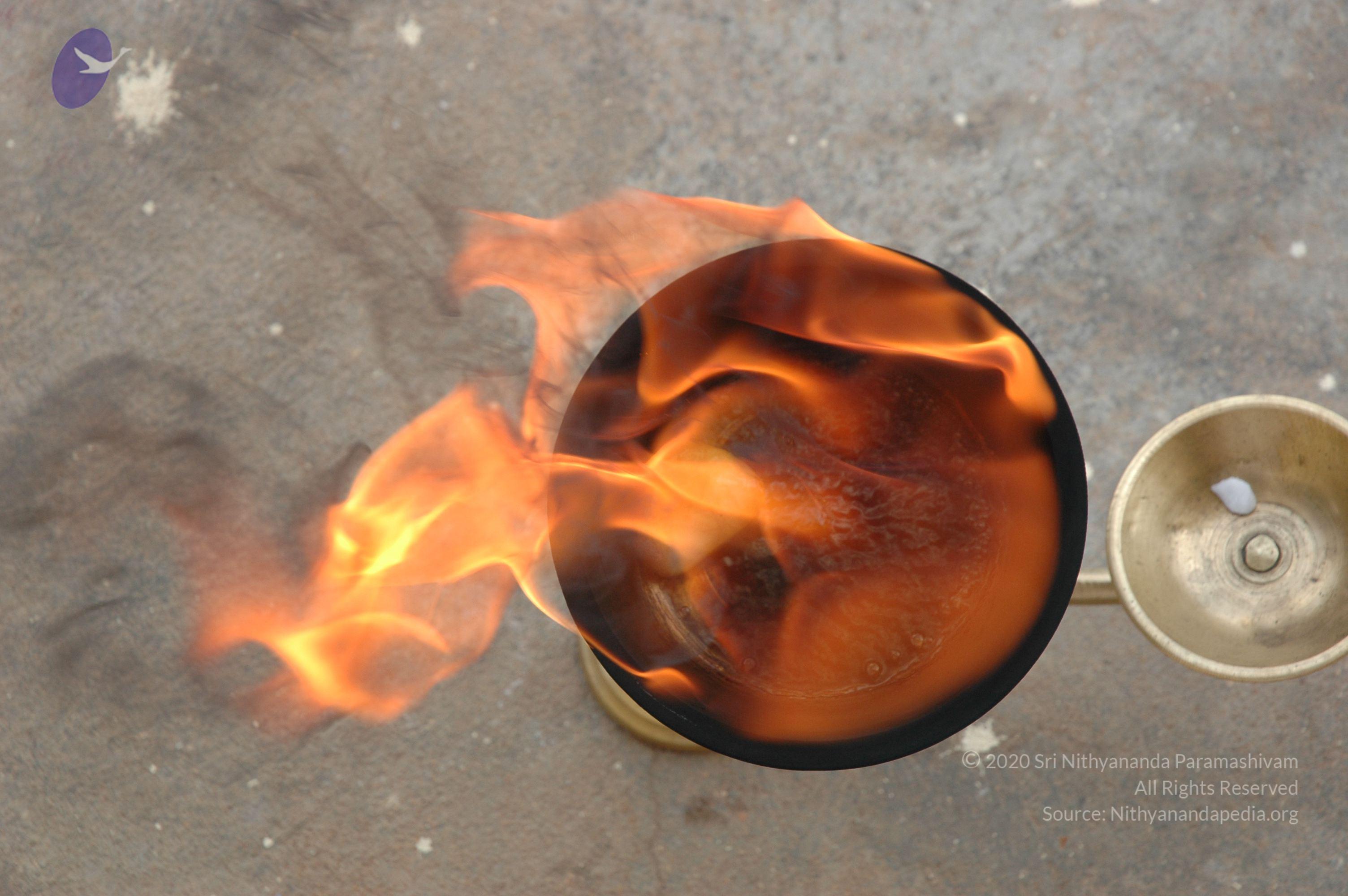 20061019_Photo_1012_DSC_6486_CMP_WM