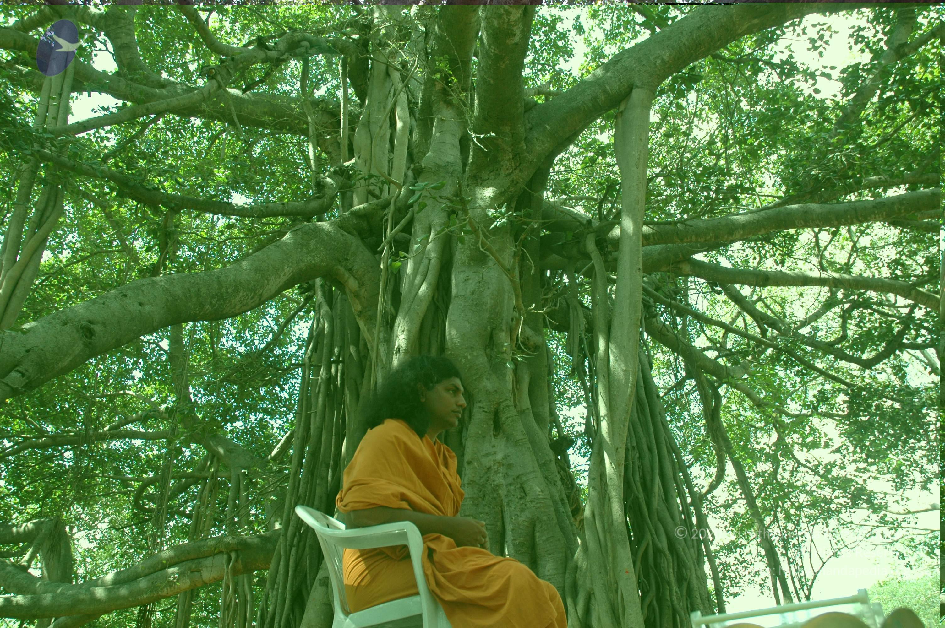 20061019_Photo_1016_DSC_5436_CMP_WM