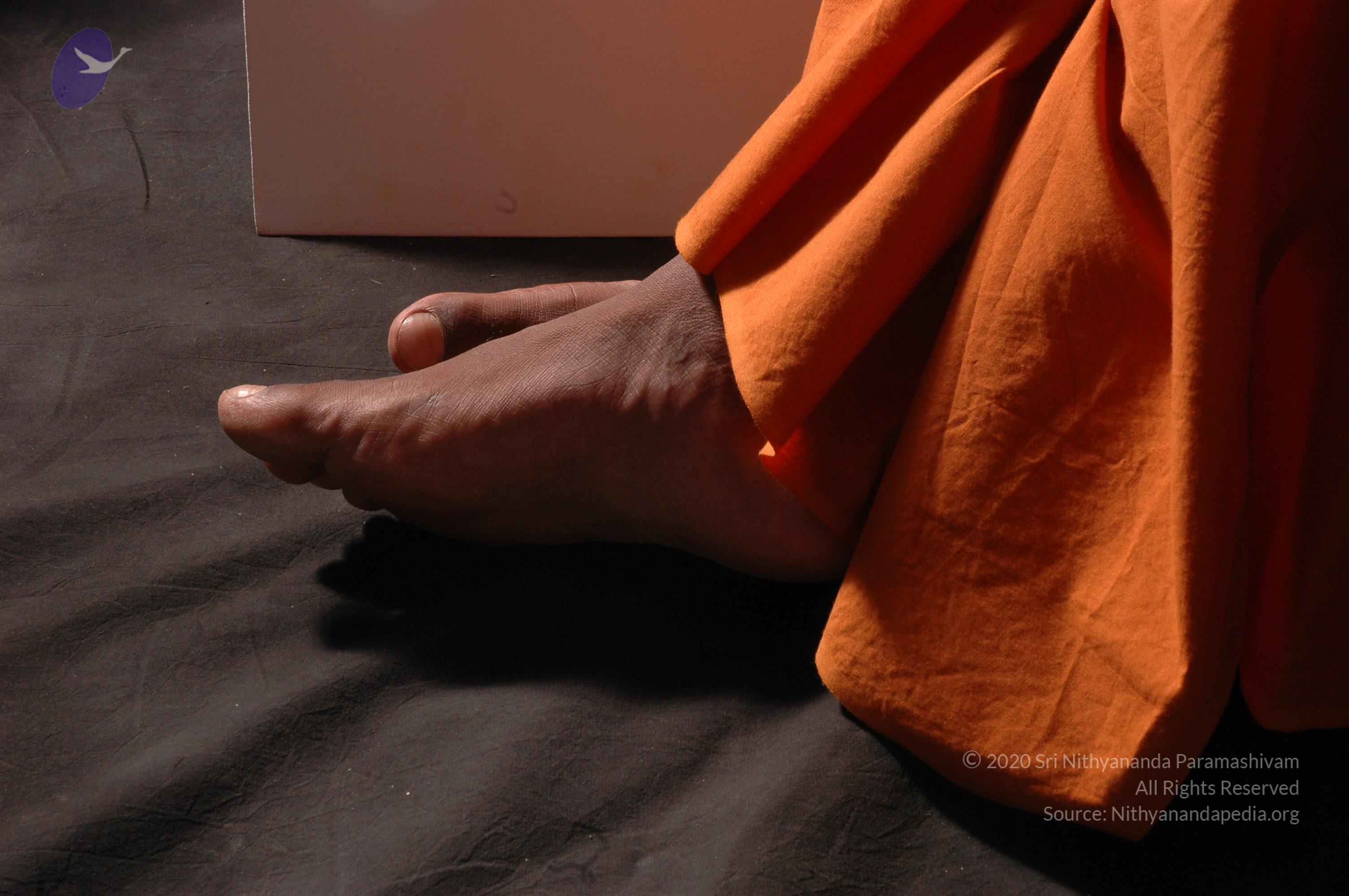 20061019_Photo_1062_DSC_6415_CMP_WM