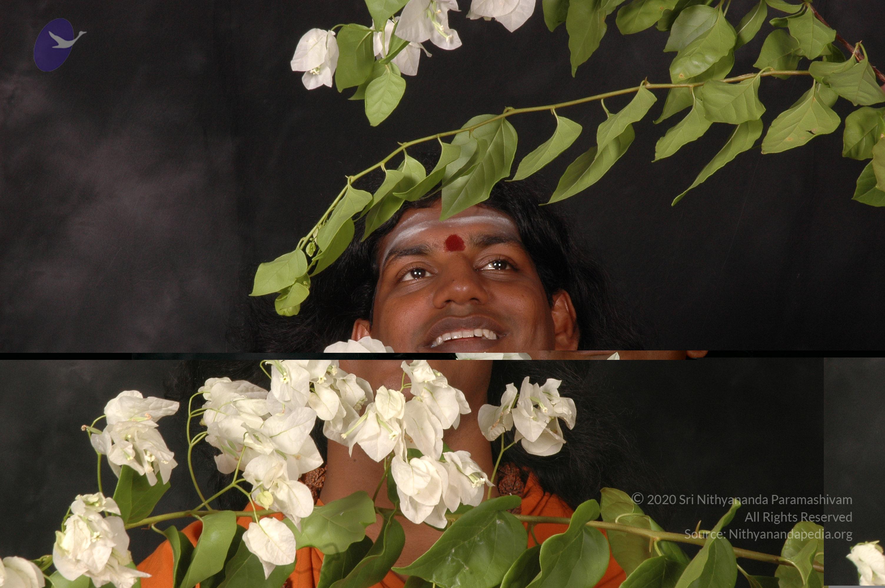 20061019_Photo_1071_DSC_6168_CMP_WM