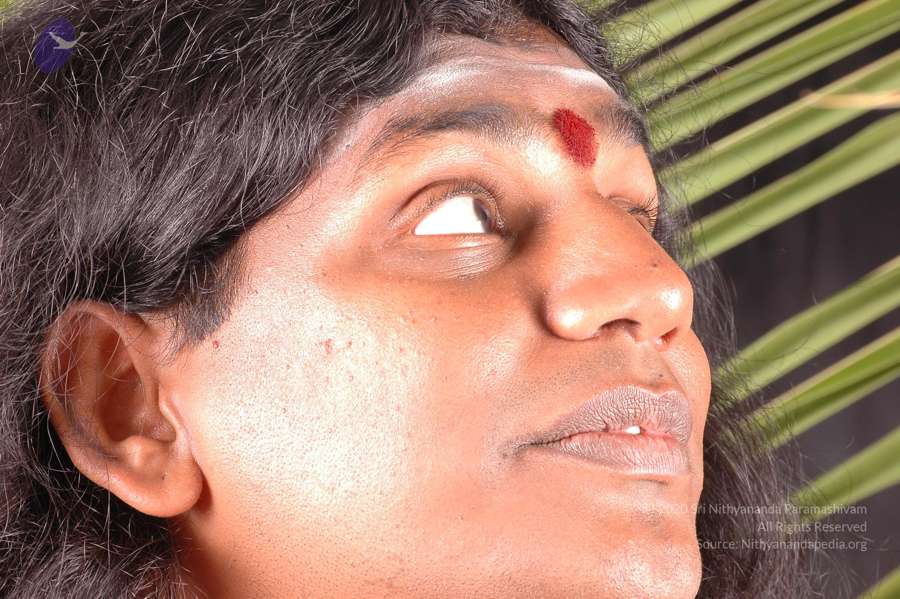 20061019_Photo_1104_DSC_6310_CMP_WM