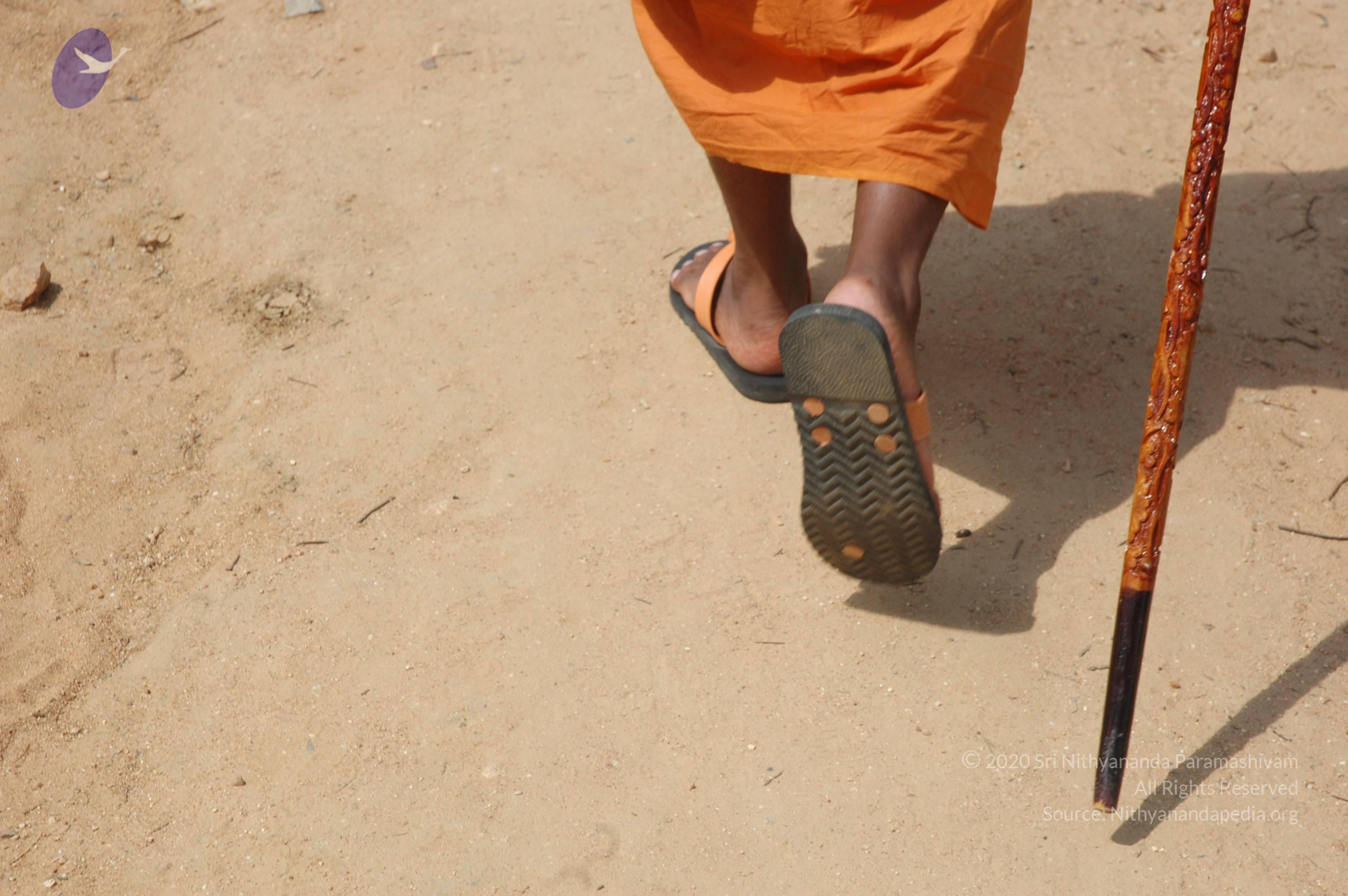 20061019_Photo_1110_DSC_5315_CMP_WM