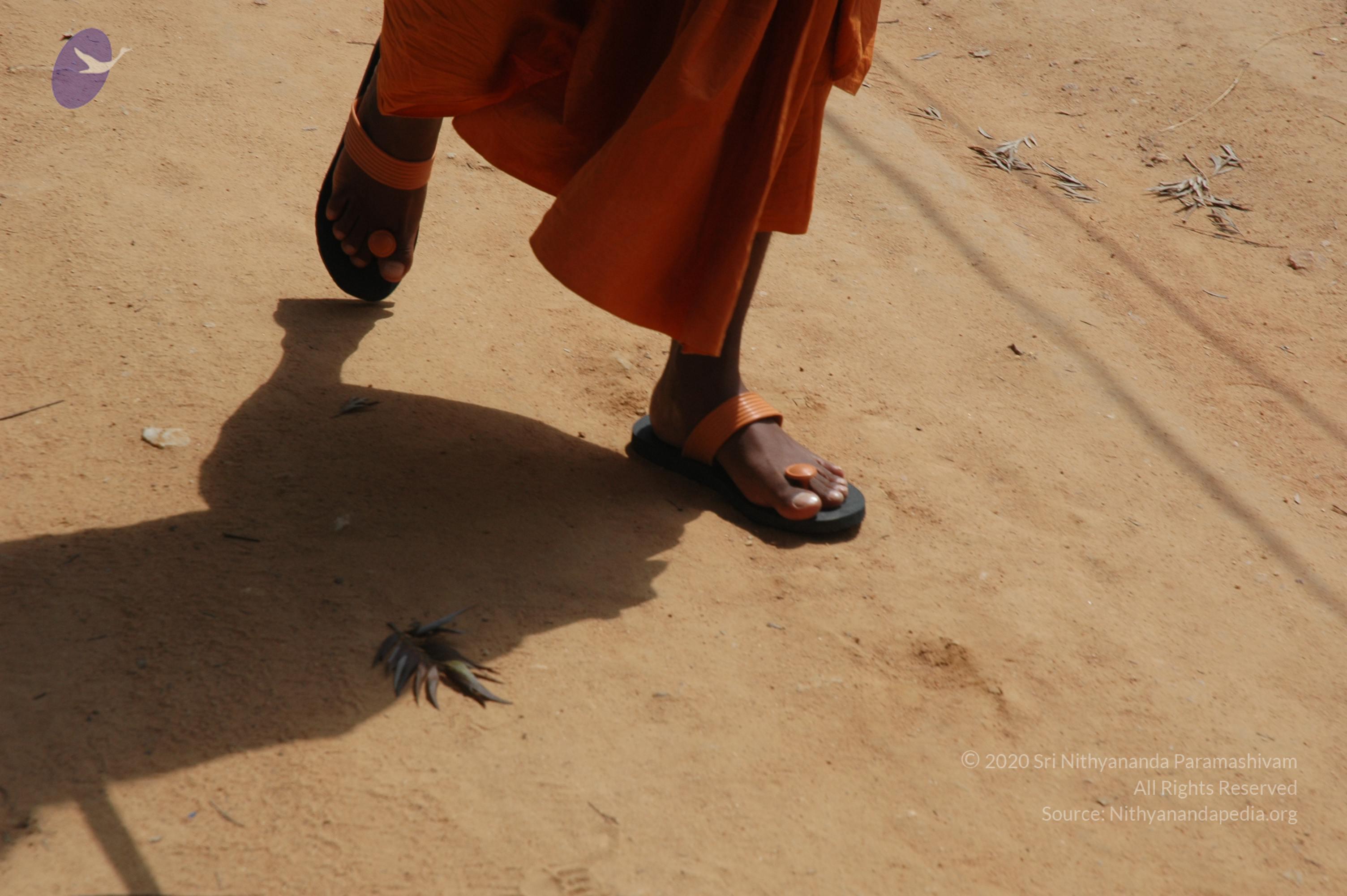 20061019_Photo_1112_DSC_5322_CMP_WM