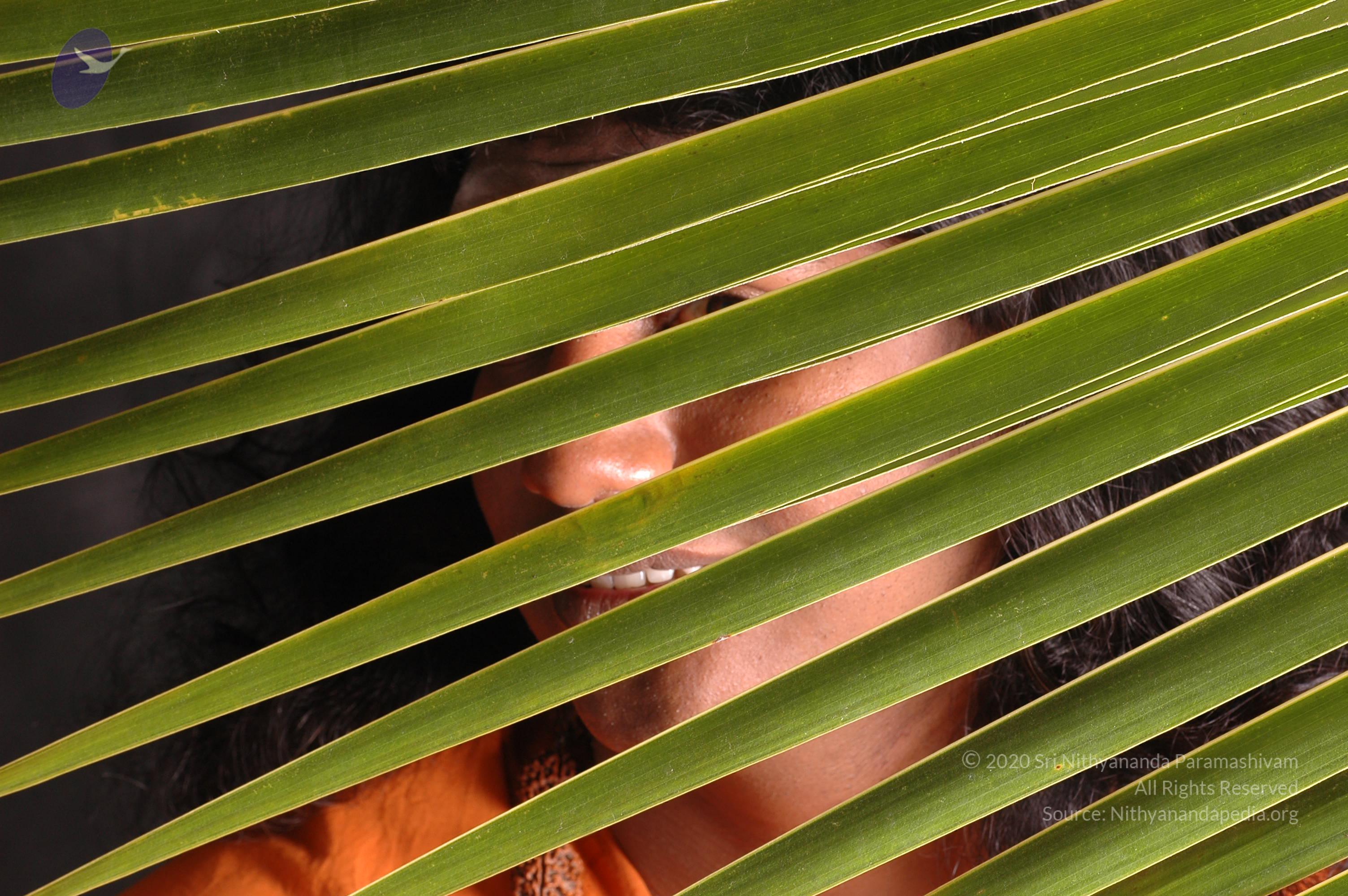 20061019_Photo_1116_DSC_6299_CMP_WM