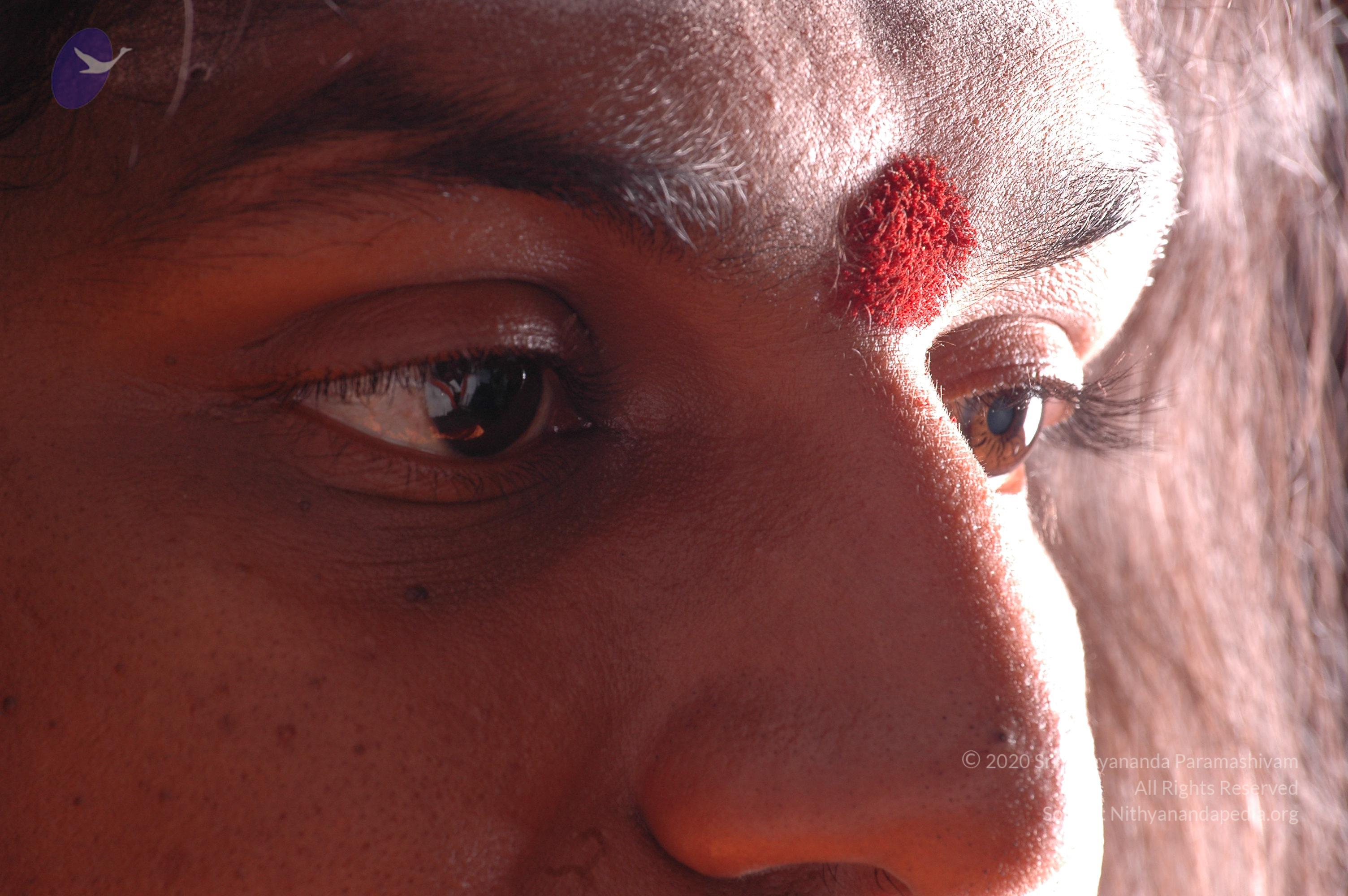 20061019_Photo_1138_DSC_6277_CMP_WM