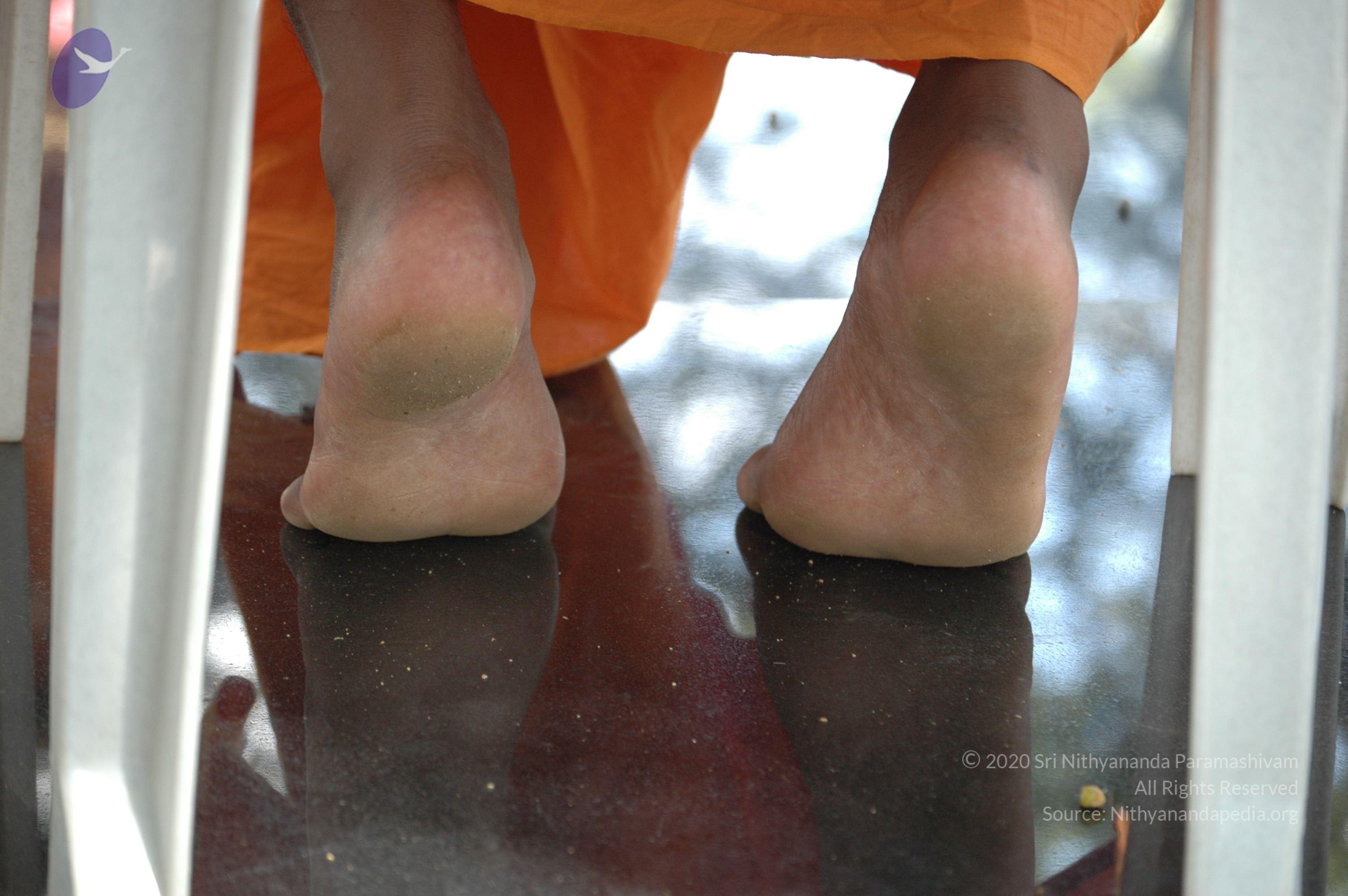 20061019_Photo_1141_DSC_5418_CMP_WM