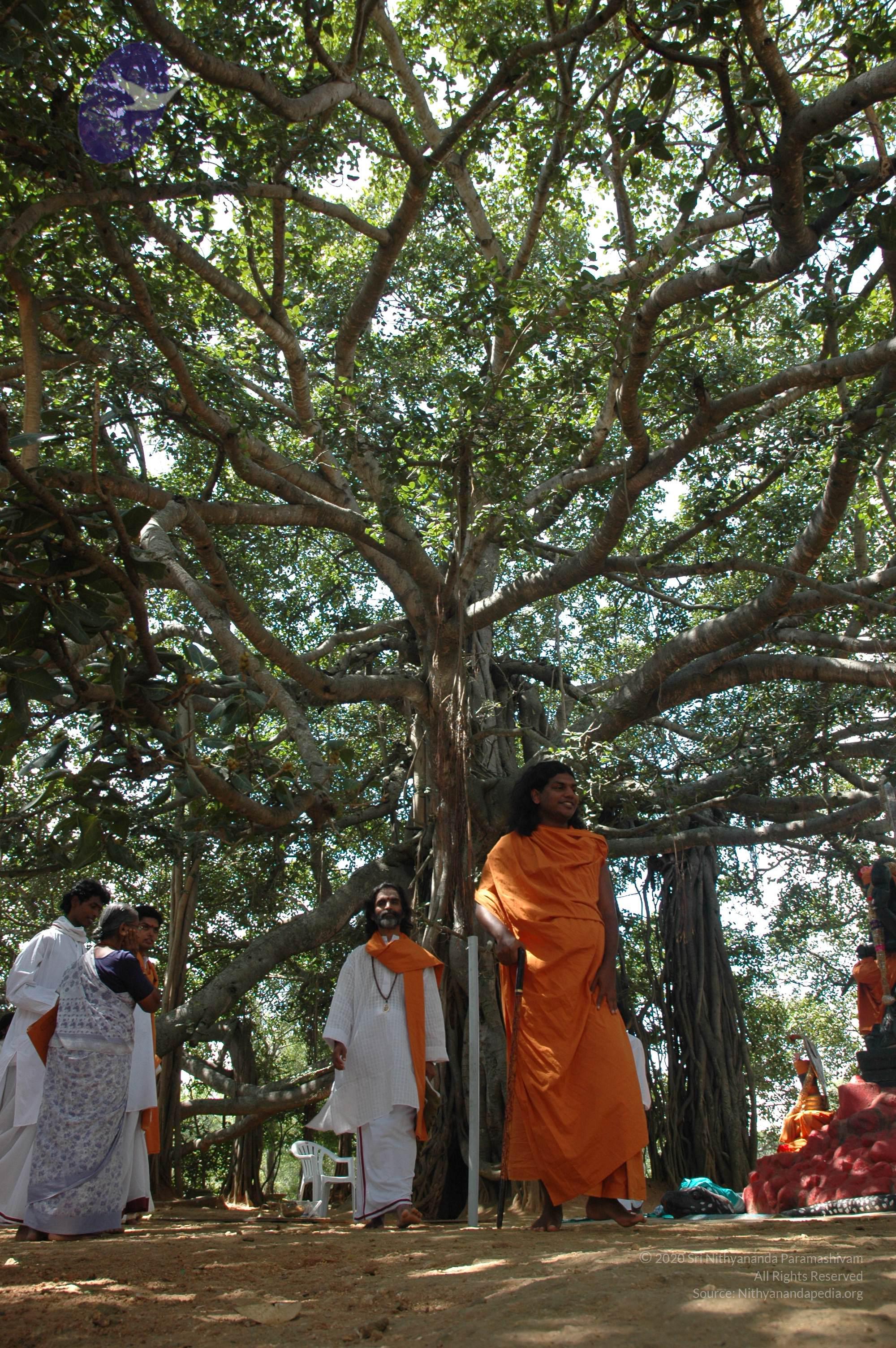 20061019_Photo_1149_DSC_5485_CMP_WM