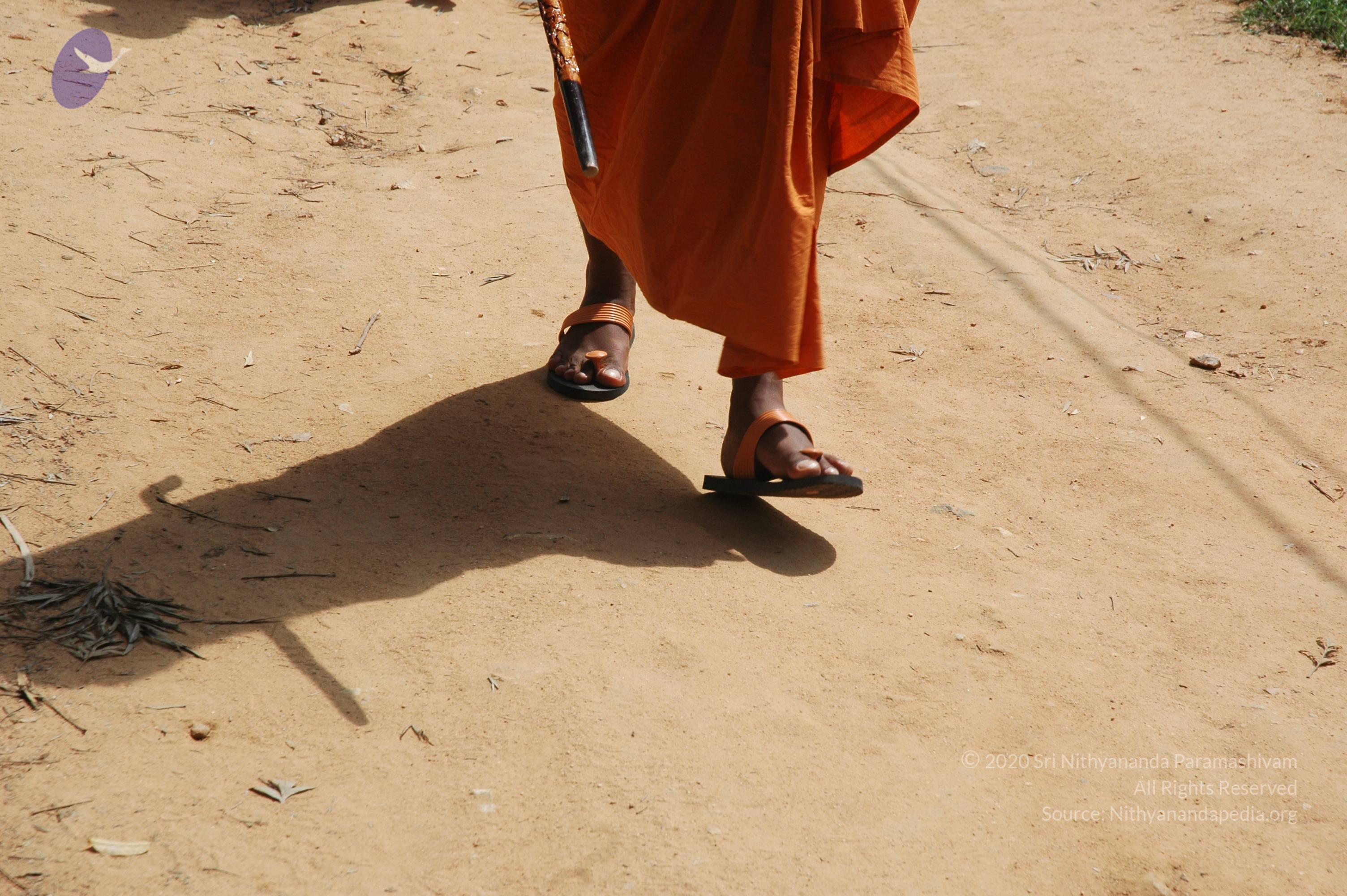 20061019_Photo_1253_DSC_5320_CMP_WM