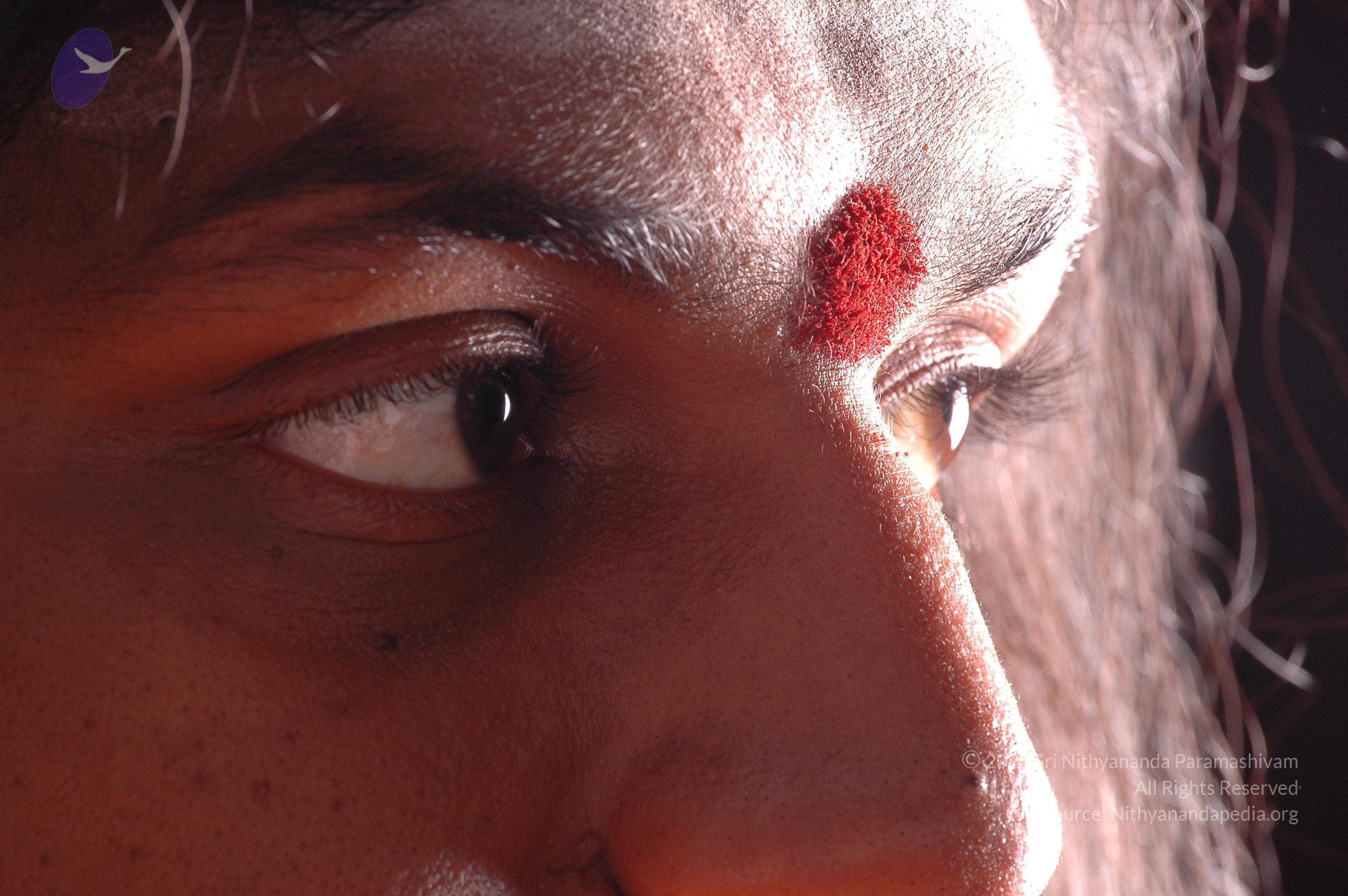 20061019_Photo_1262_DSC_6278_CMP_WM