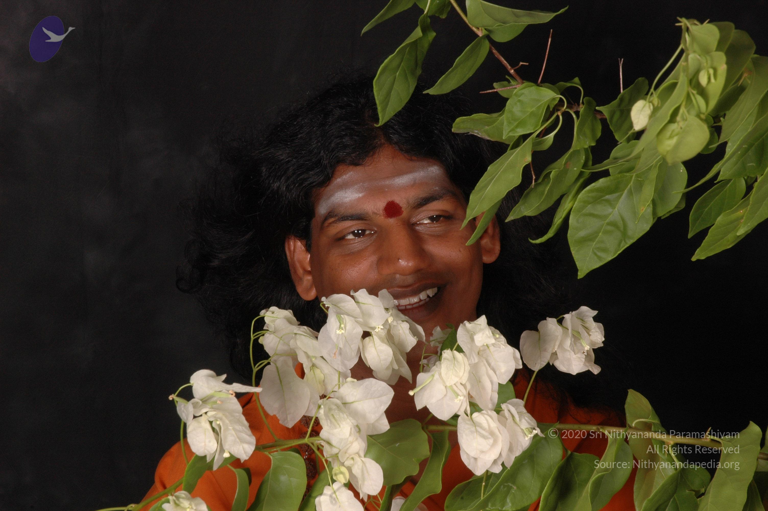 20061019_Photo_1265_DSC_6173_CMP_WM