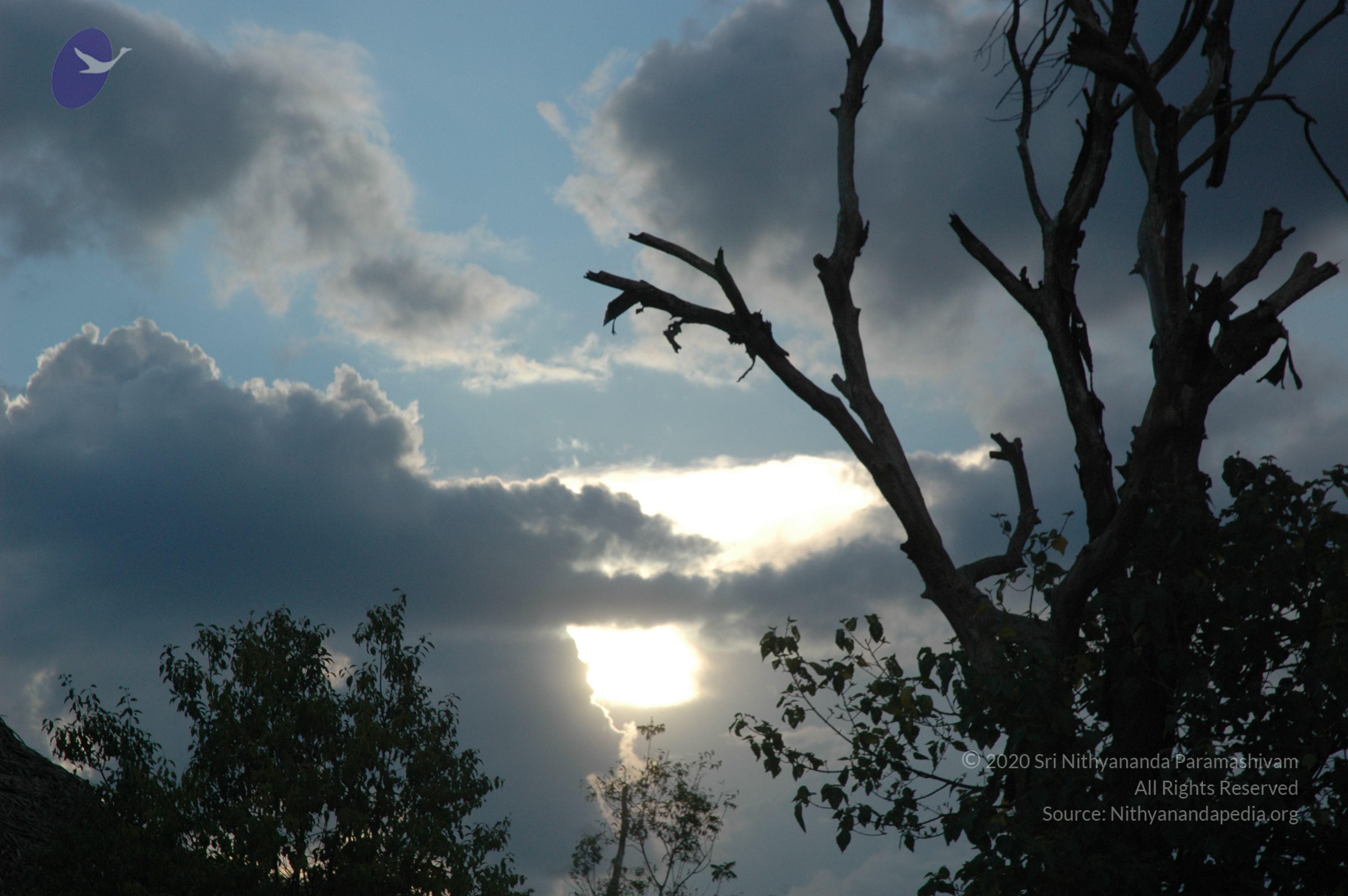 20061019_Photo_1326_DSC_5581_CMP_WM