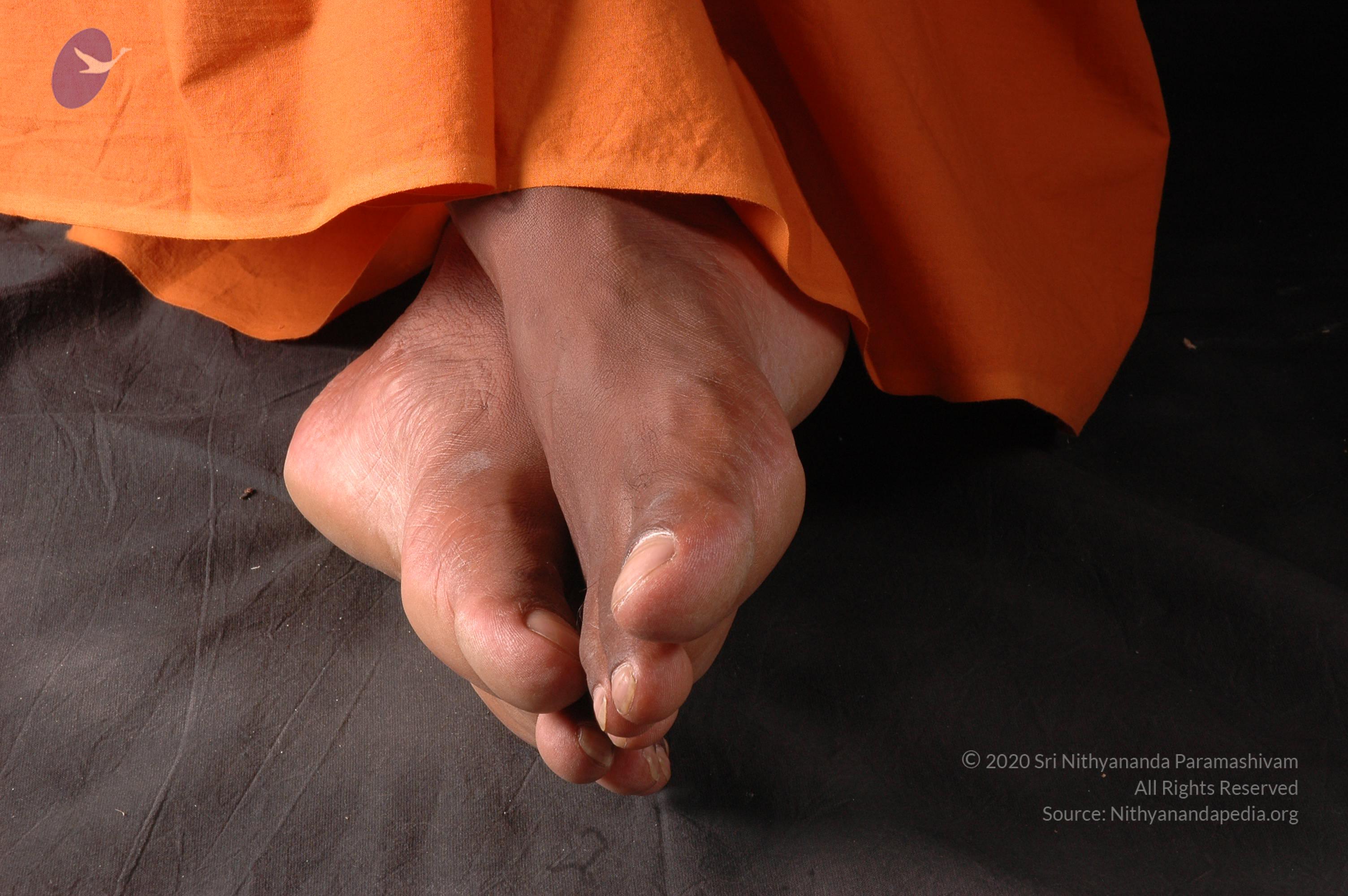 20061019_Photo_1344_DSC_6411_CMP_WM