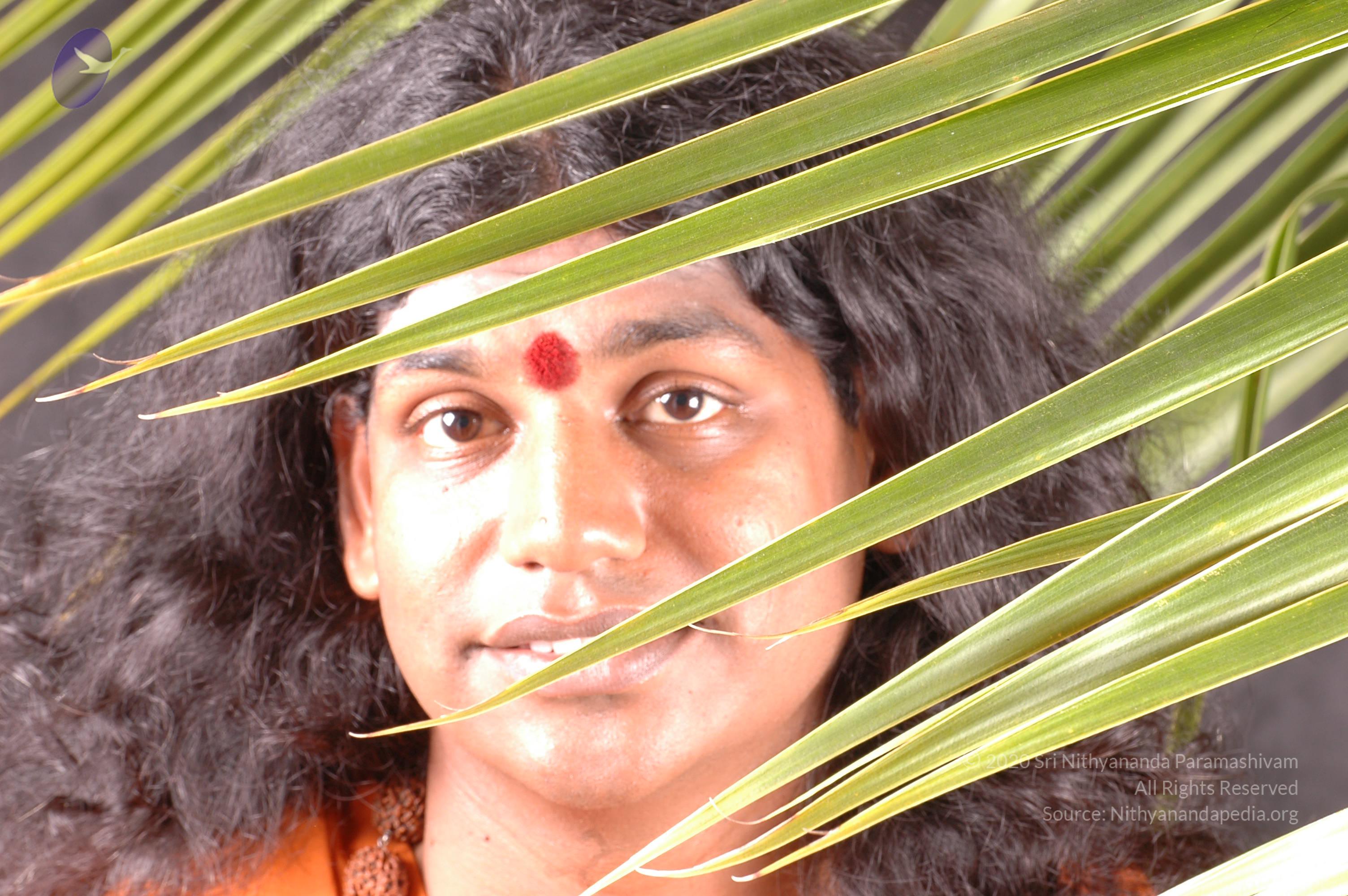 20061019_Photo_1359_DSC_6300_CMP_WM