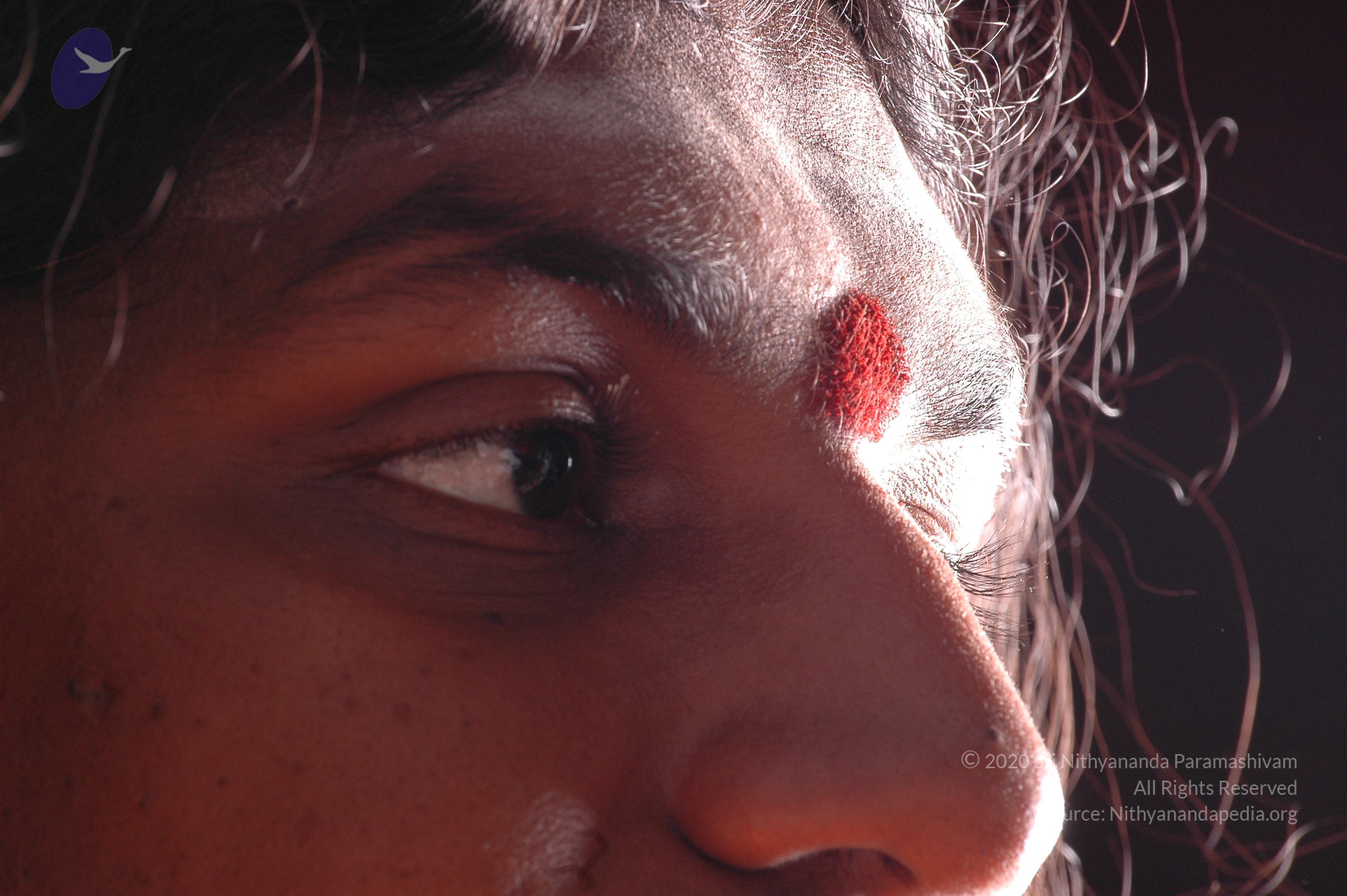 20061019_Photo_1373_DSC_6276_CMP_WM