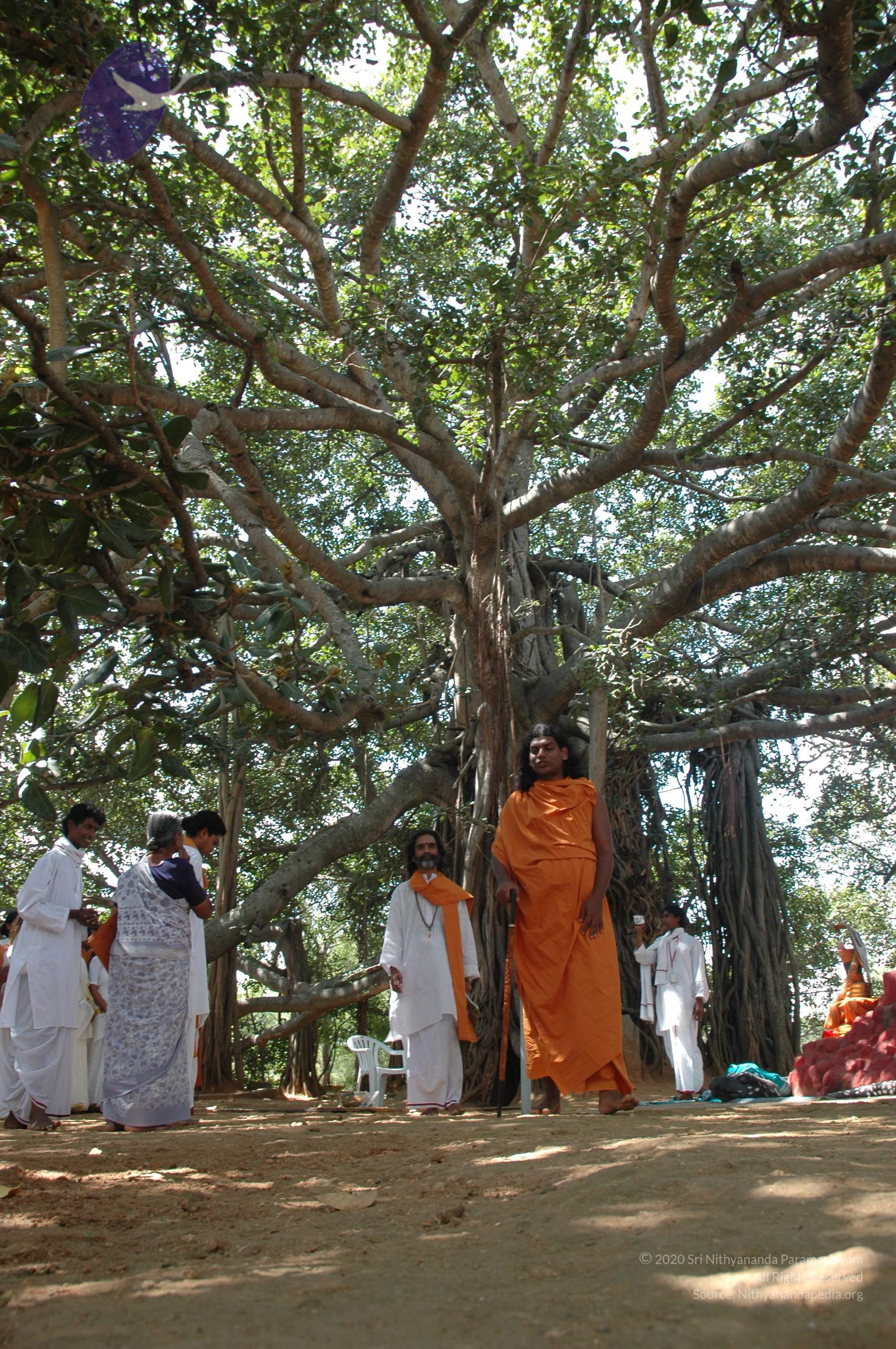 20061019_Photo_1380_DSC_5484_CMP_WM