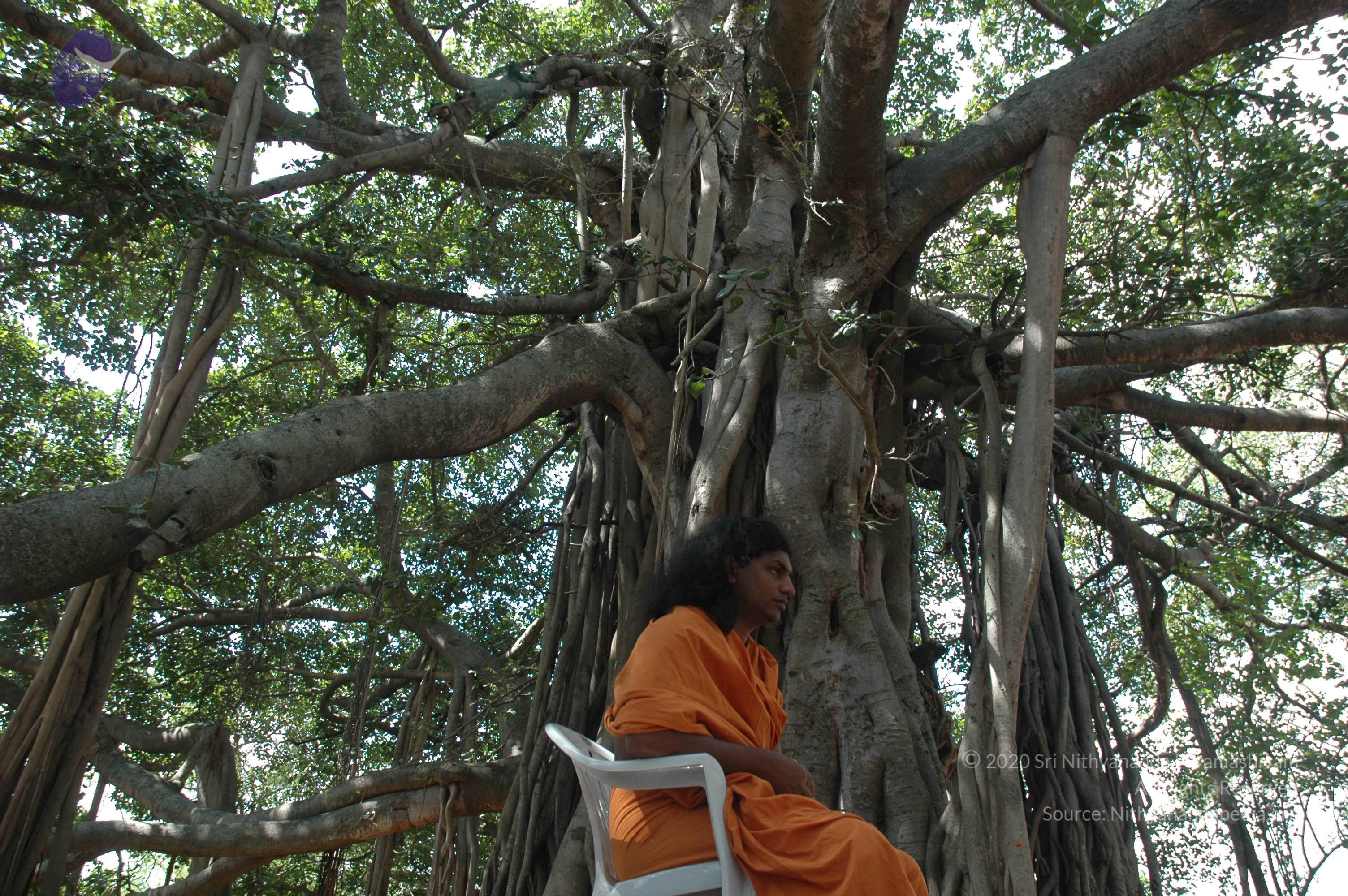 20061019_Photo_1400_DSC_5437_CMP_WM