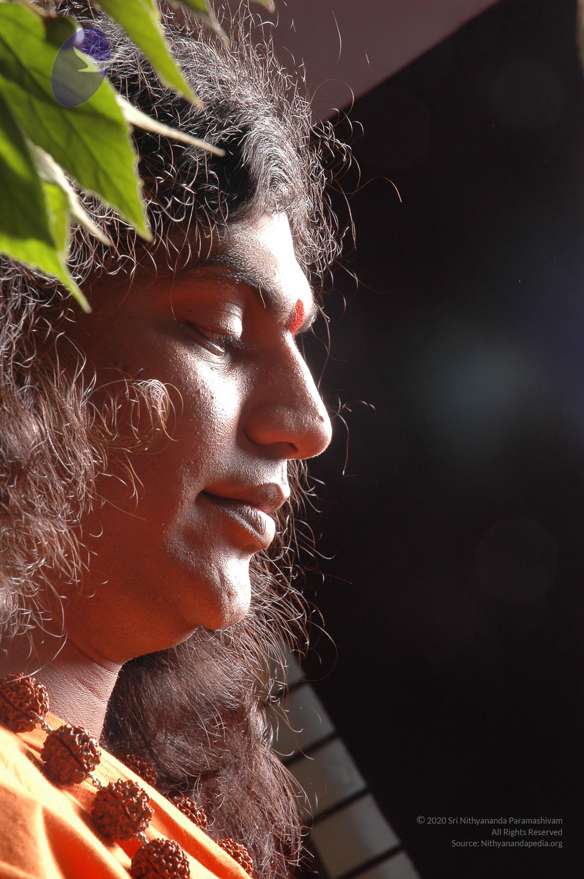 20061019_Photo_1411_DSC_6273_CMP_WM