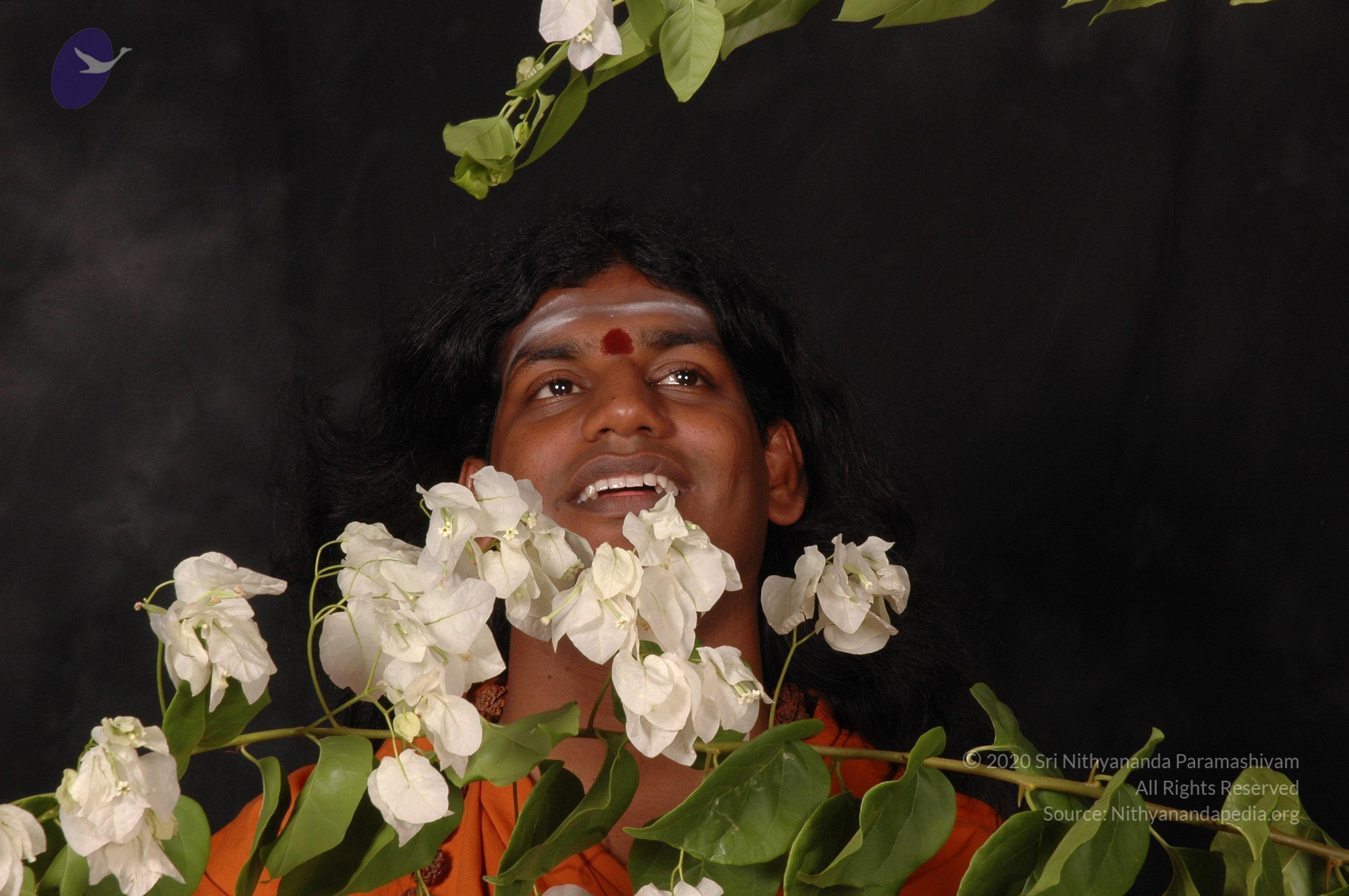 20061019_Photo_1471_DSC_6169_CMP_WM