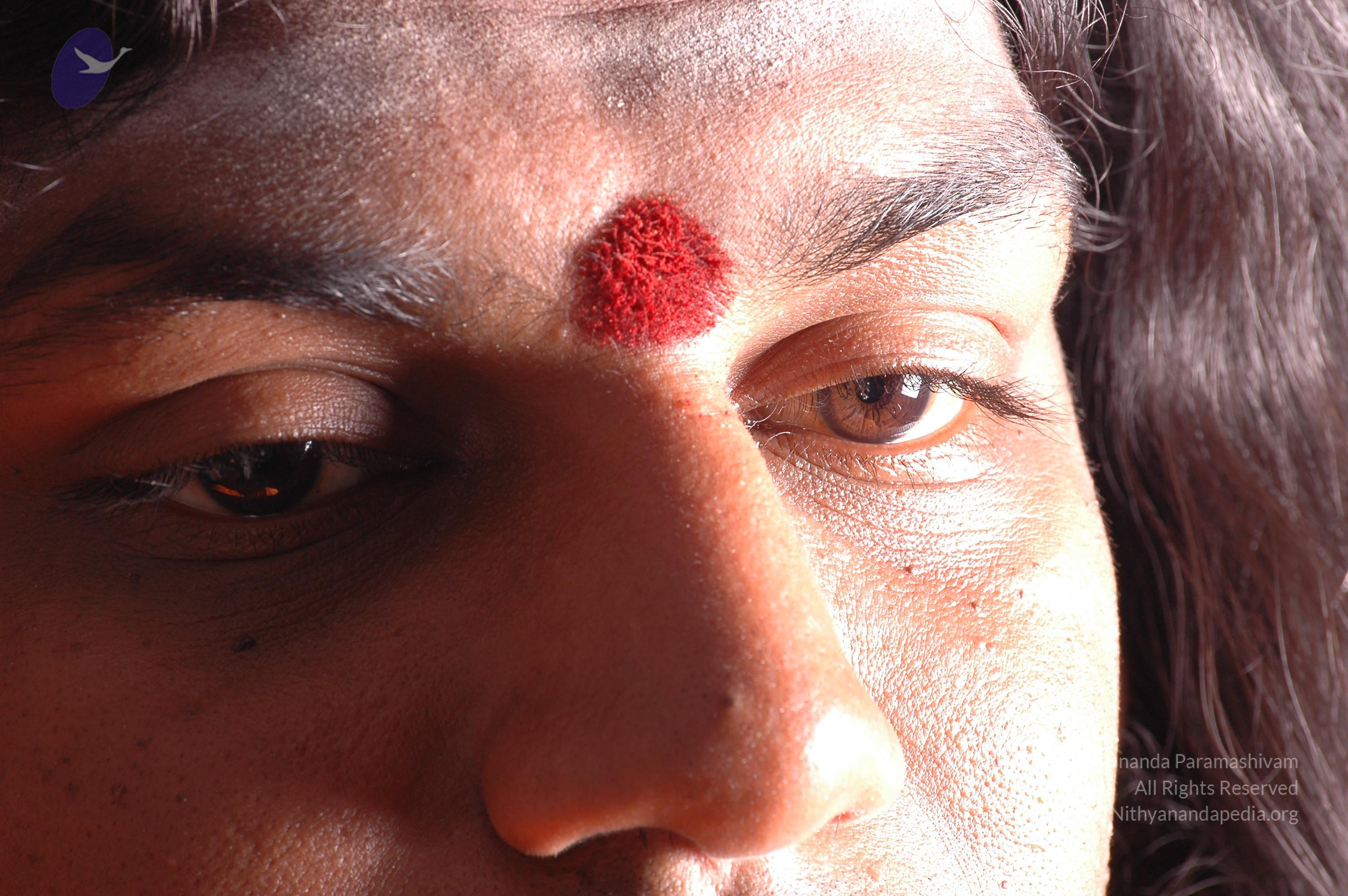 20061019_Photo_1512_DSC_6279_CMP_WM