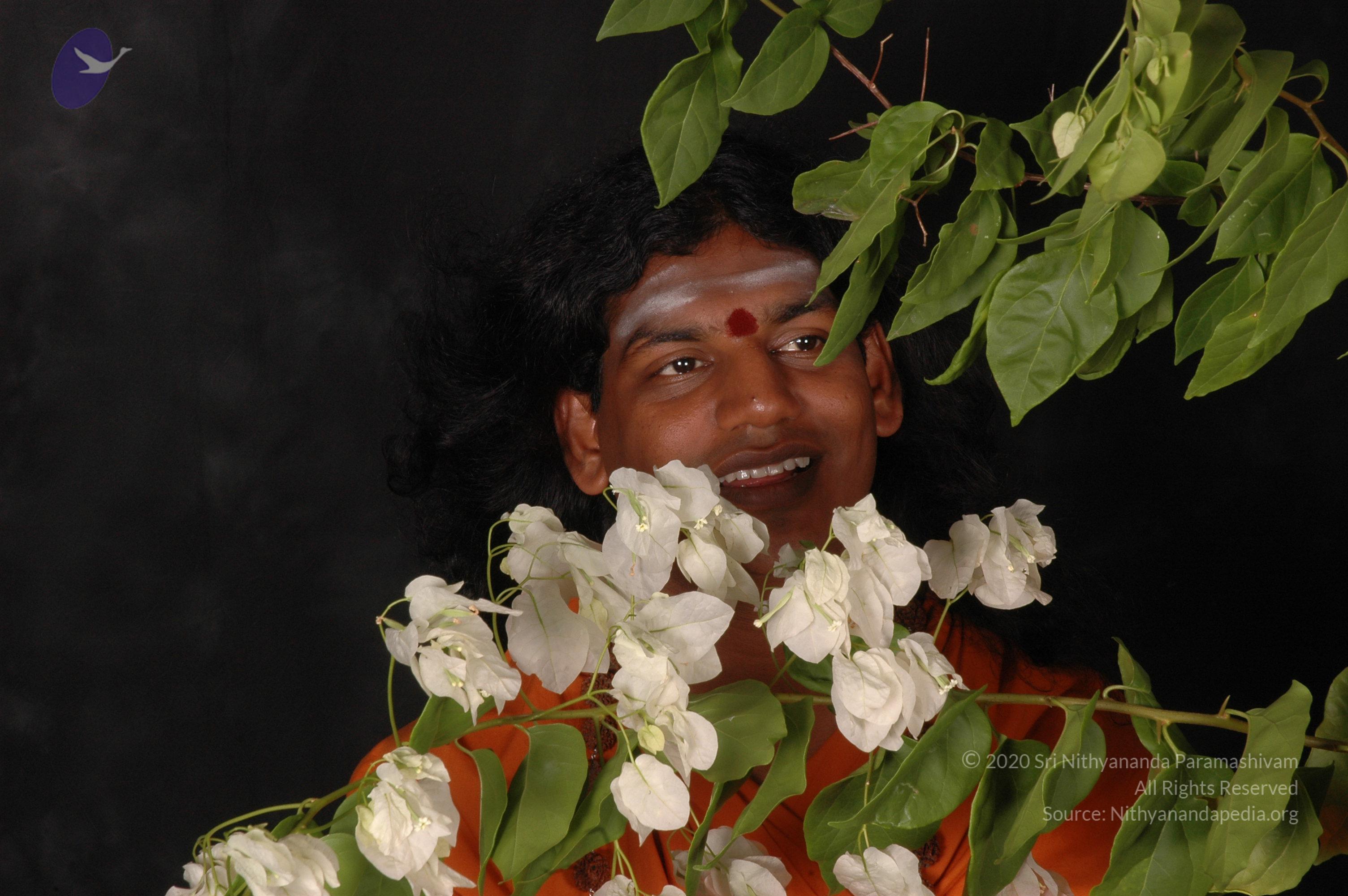 20061019_Photo_1514_DSC_6172_CMP_WM