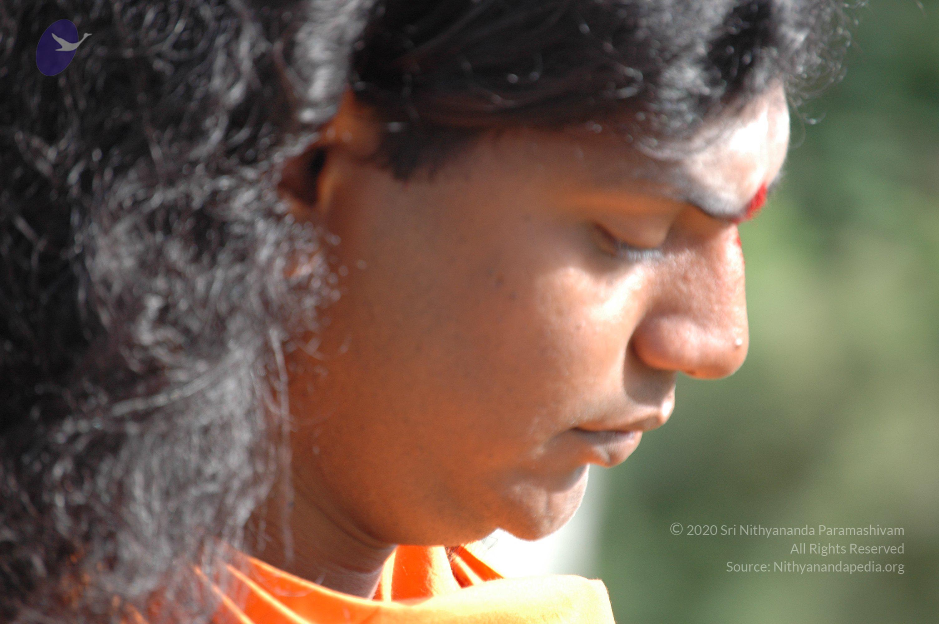 20061019_Photo_1537_DSC_5727_CMP_WM