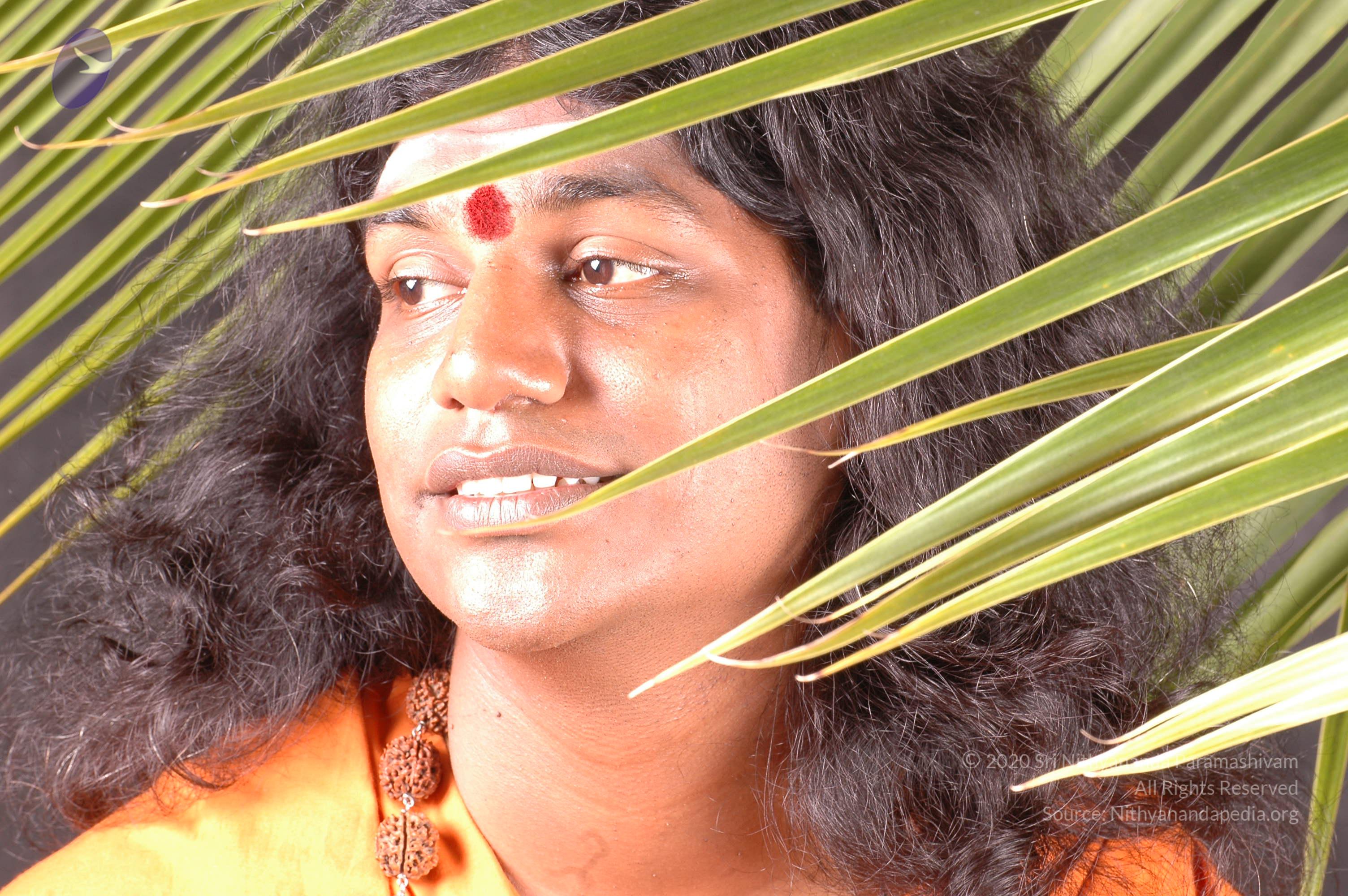 20061019_Photo_1540_DSC_6302_CMP_WM