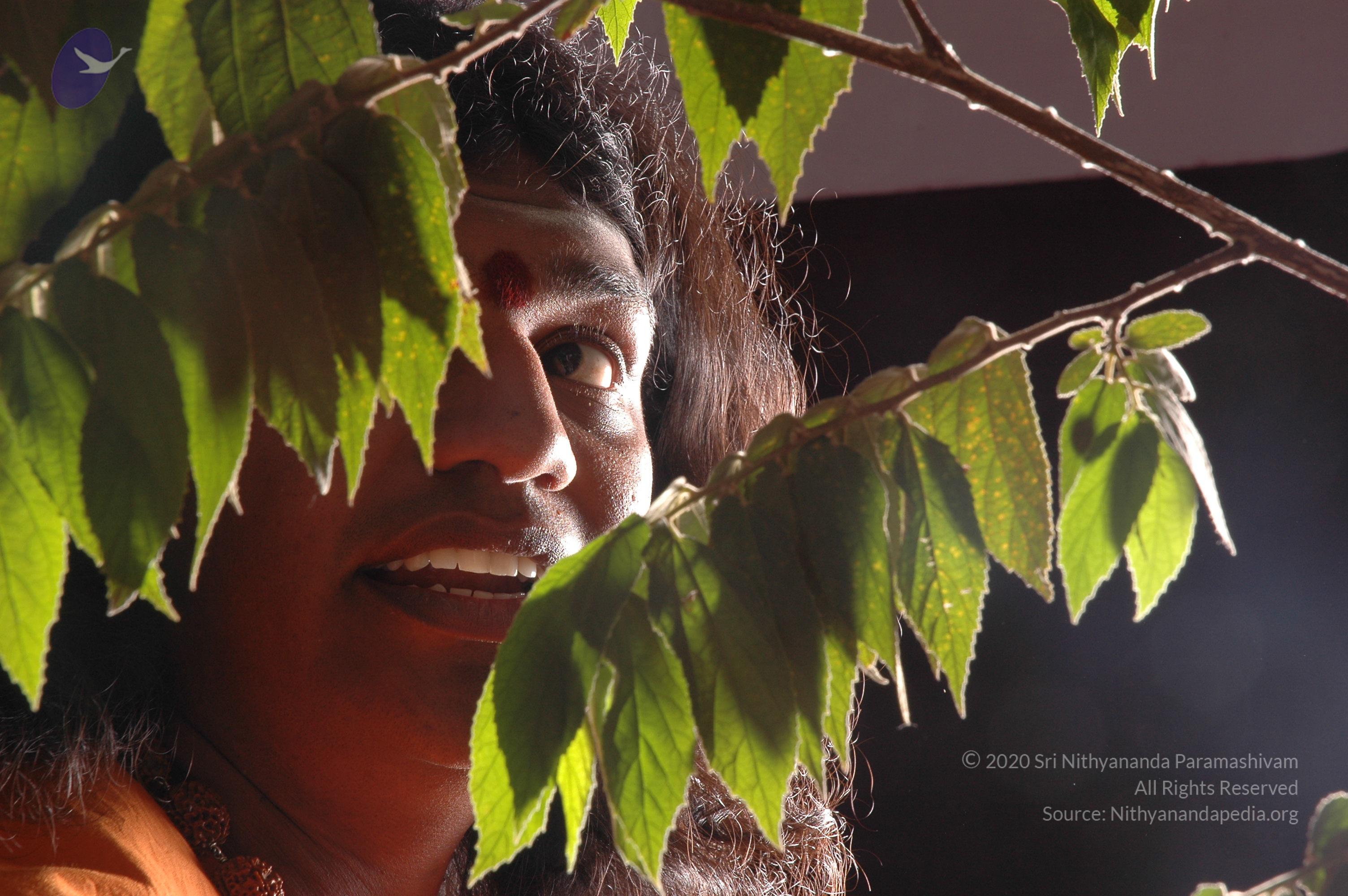 20061019_Photo_1551_DSC_6274_CMP_WM