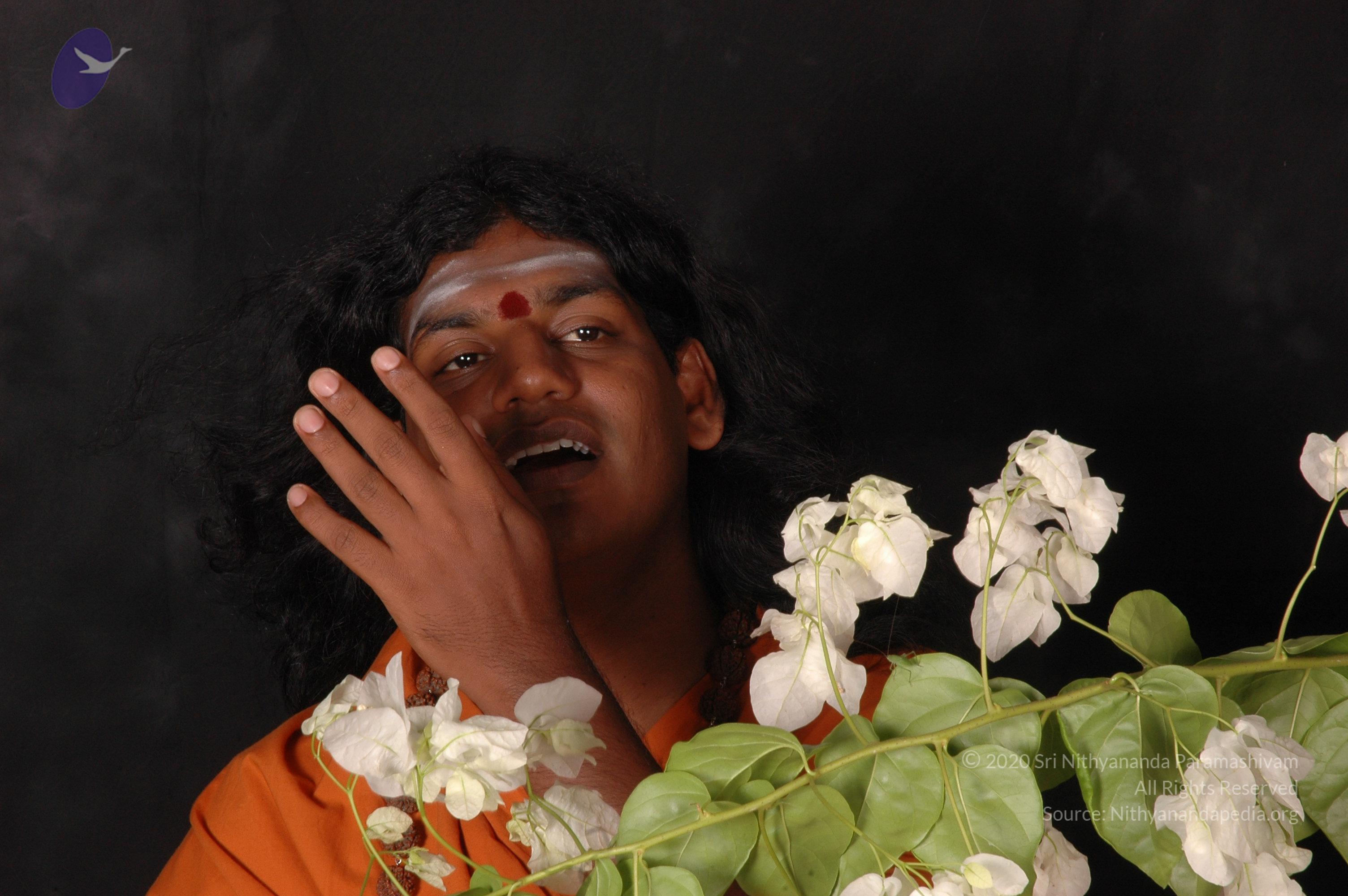 20061019_Photo_1567_DSC_6166_CMP_WM