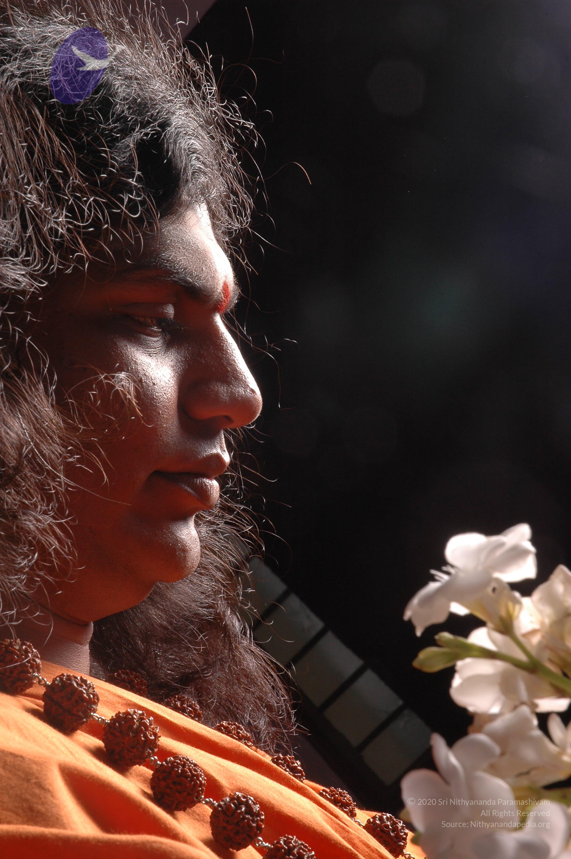 20061019_Photo_1594_DSC_6271_CMP_WM