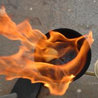 20061019_Photo_1000_DSC_6485_CMP_WM