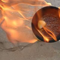 20061019_Photo_1002_DSC_6488_CMP_WM