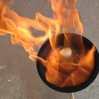 20061019_Photo_1008_DSC_6495_CMP_WM