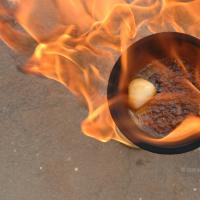 20061019_Photo_1009_DSC_6489_CMP_WM