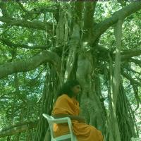 20061019_Photo_1016_DSC_5436_CMP_WM