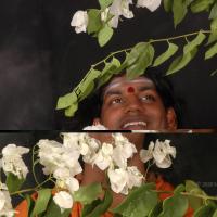 20061019_Photo_1071_DSC_6168_CMP_WM