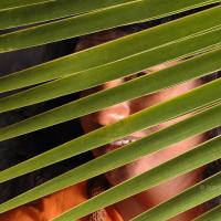 20061019_Photo_1116_DSC_6299_CMP_WM