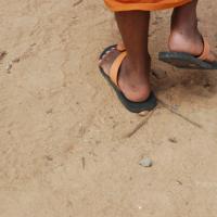 20061019_Photo_1196_DSC_5312_CMP_WM